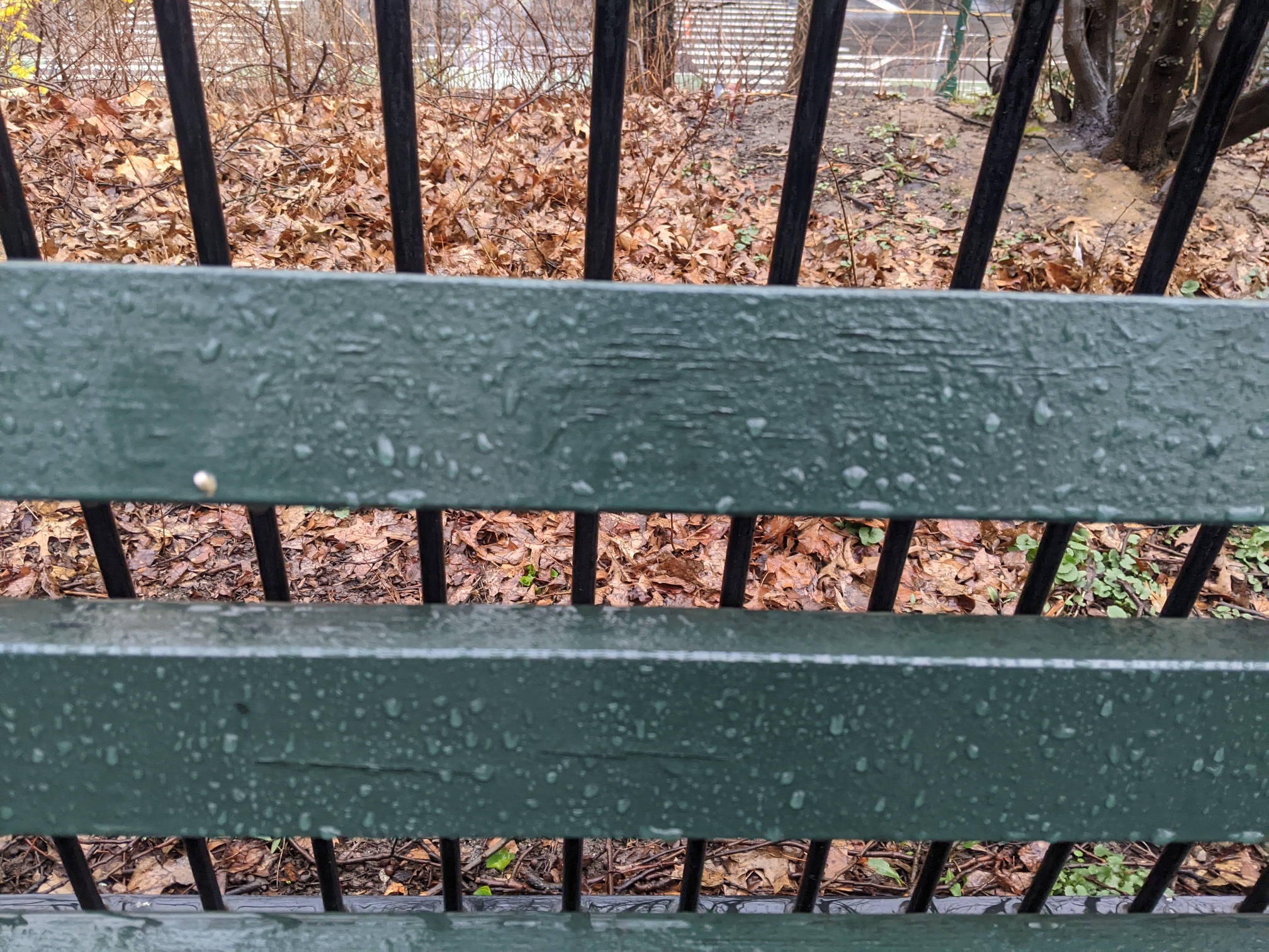 I saw this bench in Central Park