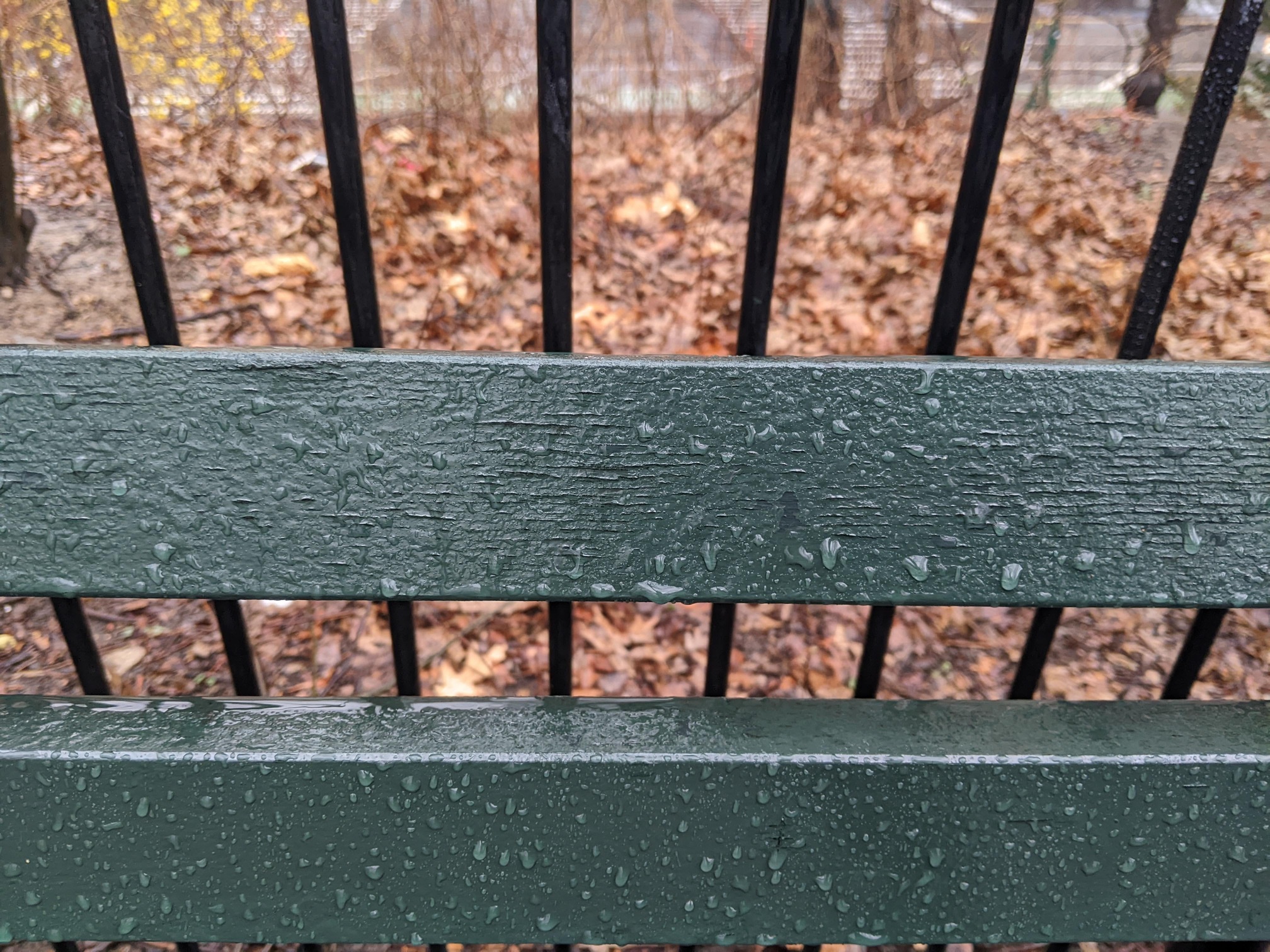 I saw this bench in Central Park