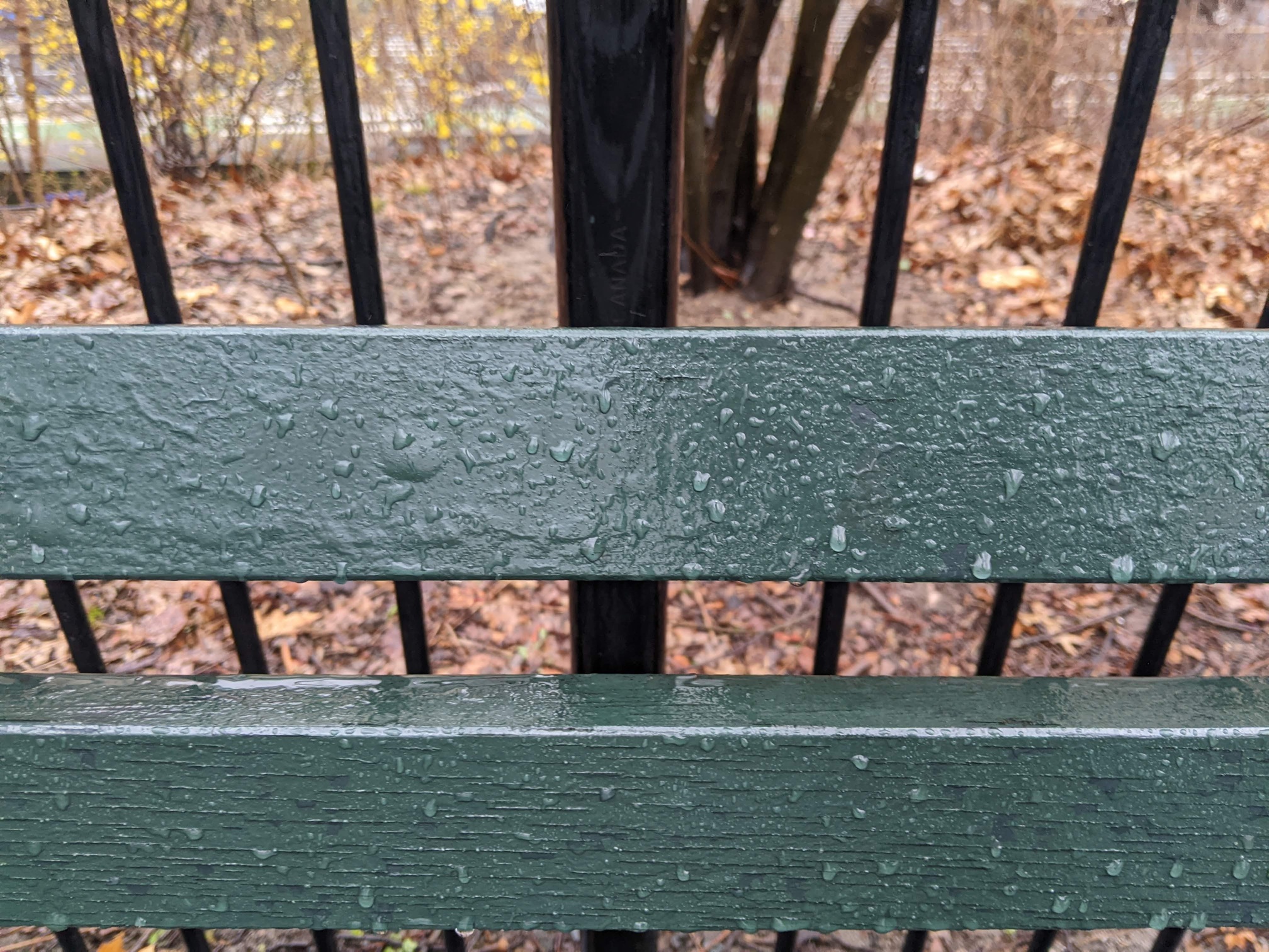 I saw this bench in Central Park