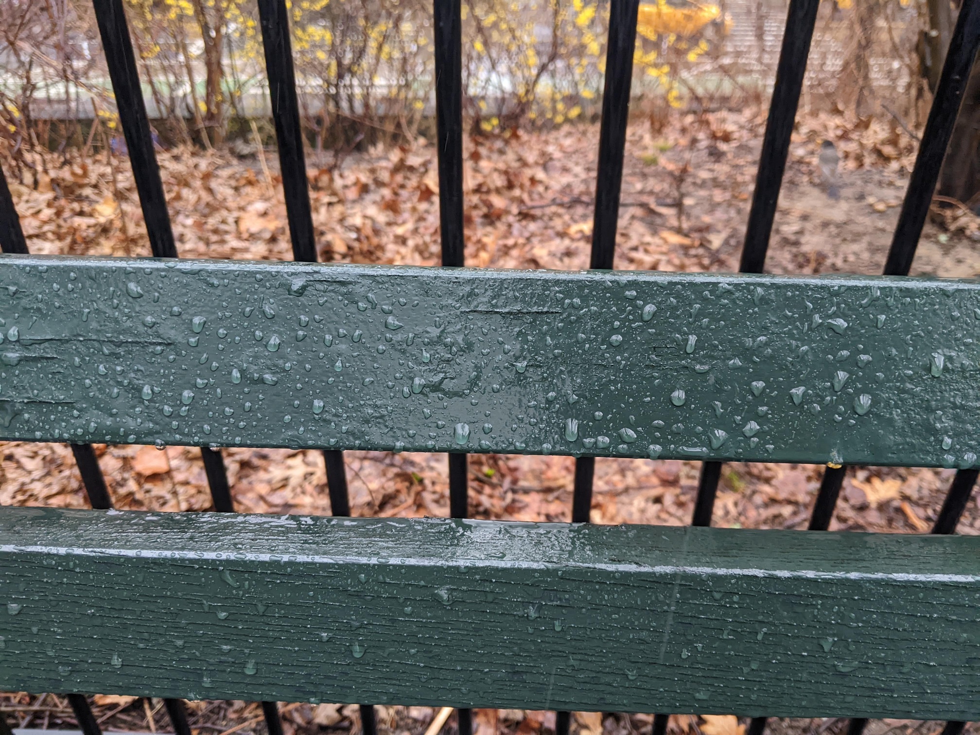 I saw this bench in Central Park