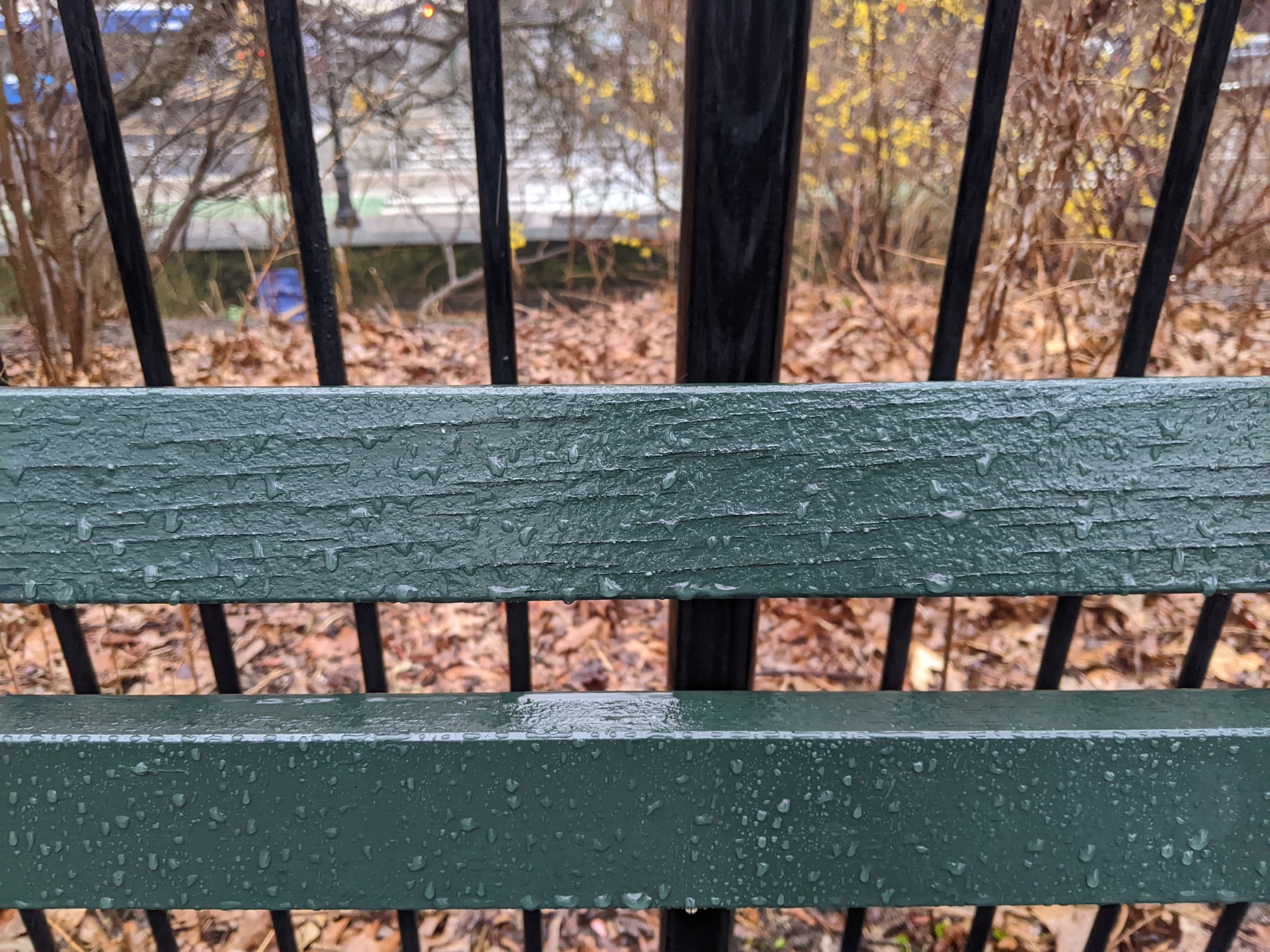 I saw this bench in Central Park