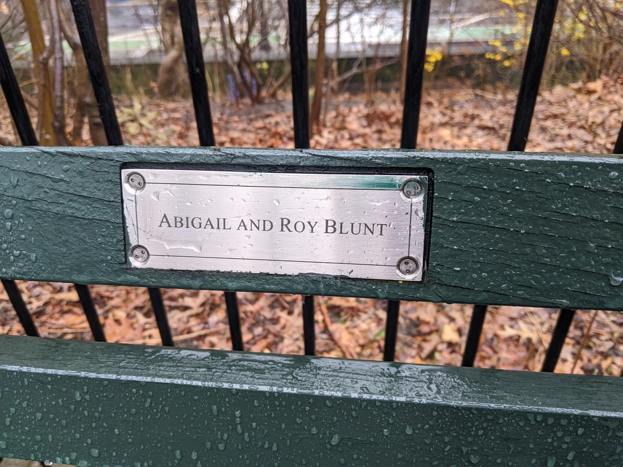 I saw this bench in Central Park