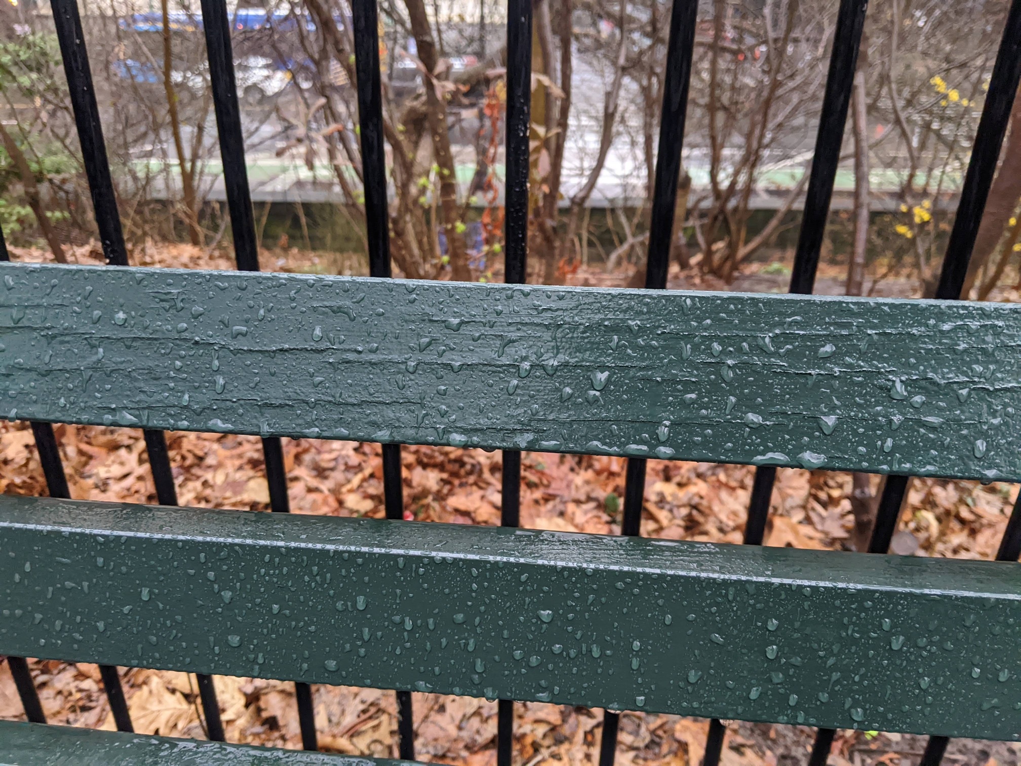 I saw this bench in Central Park