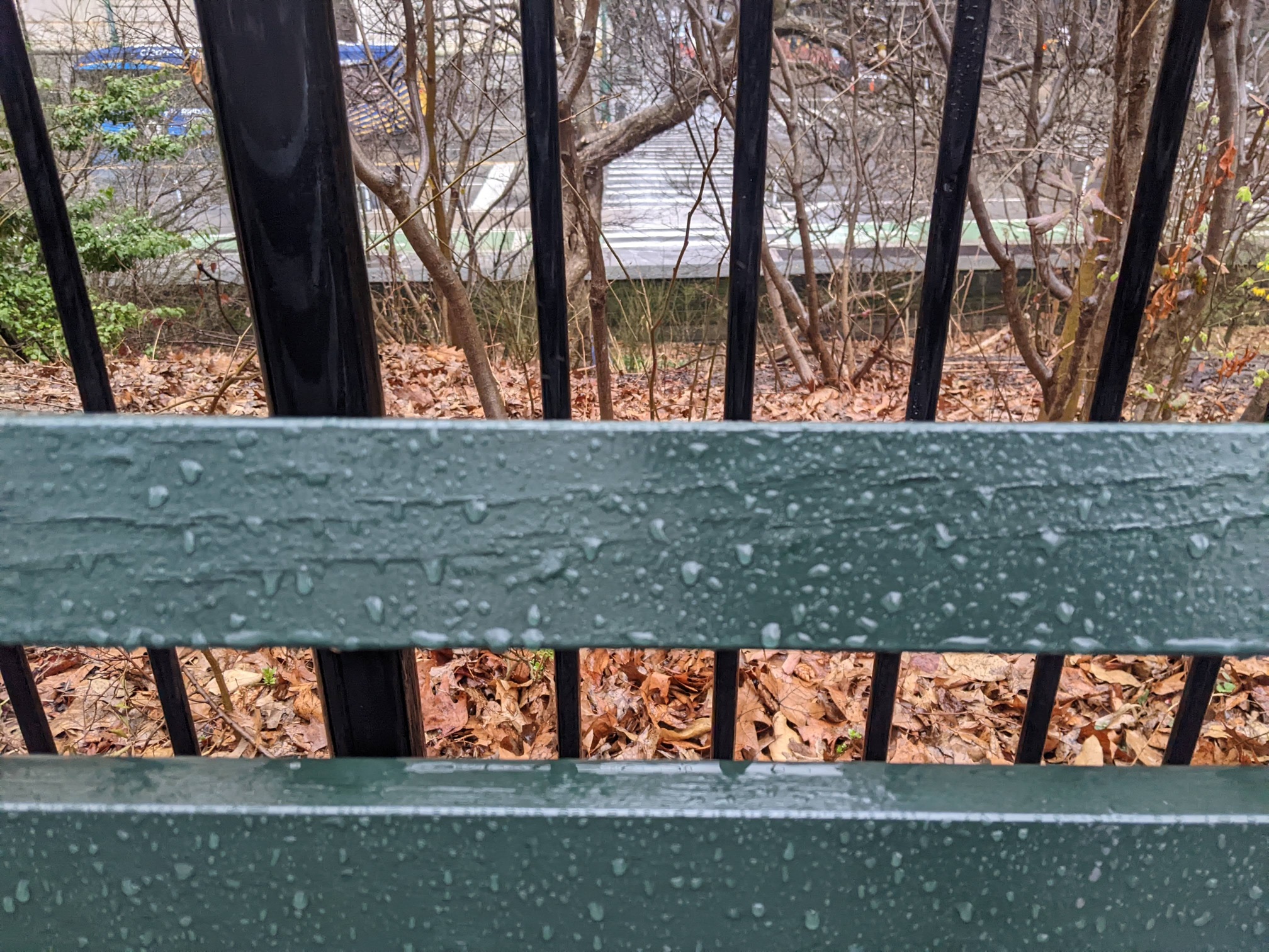 I saw this bench in Central Park