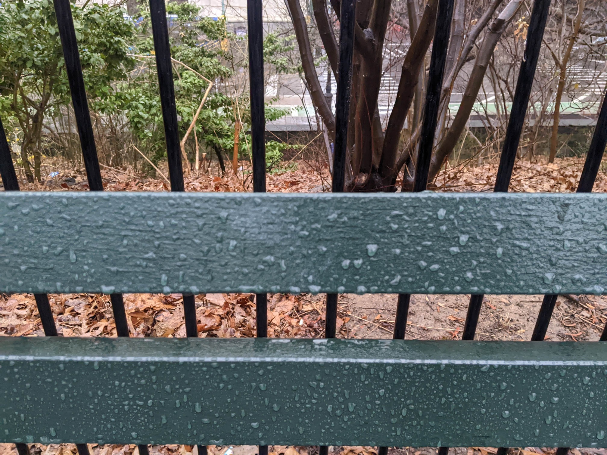 I saw this bench in Central Park