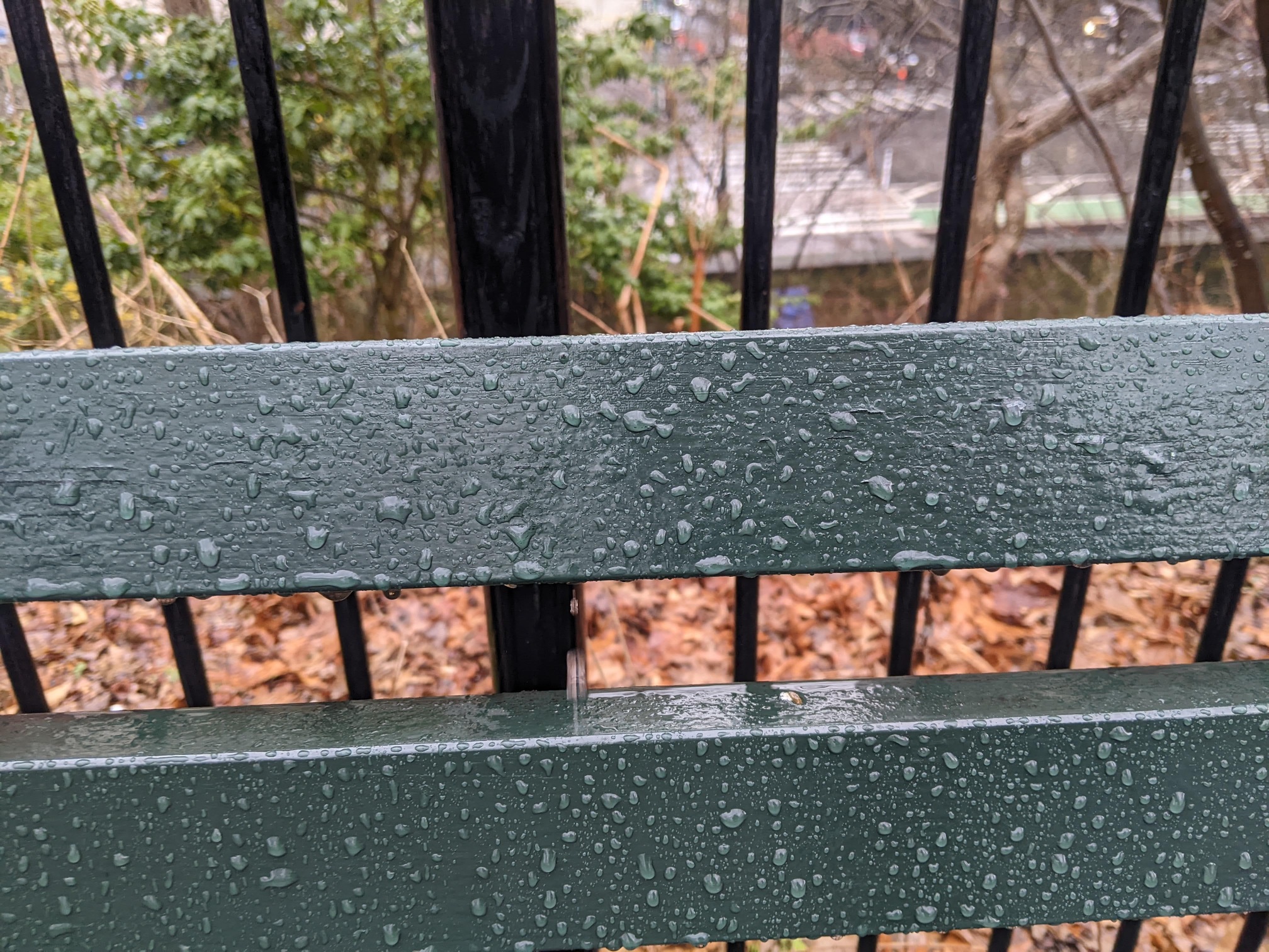 I saw this bench in Central Park