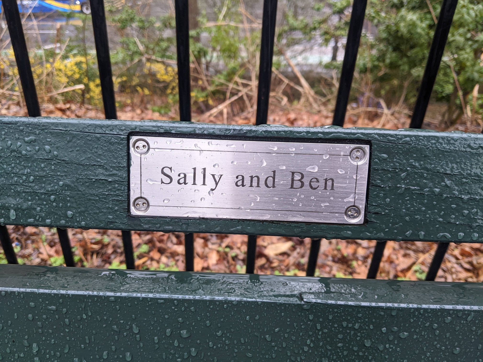 I saw this bench in Central Park