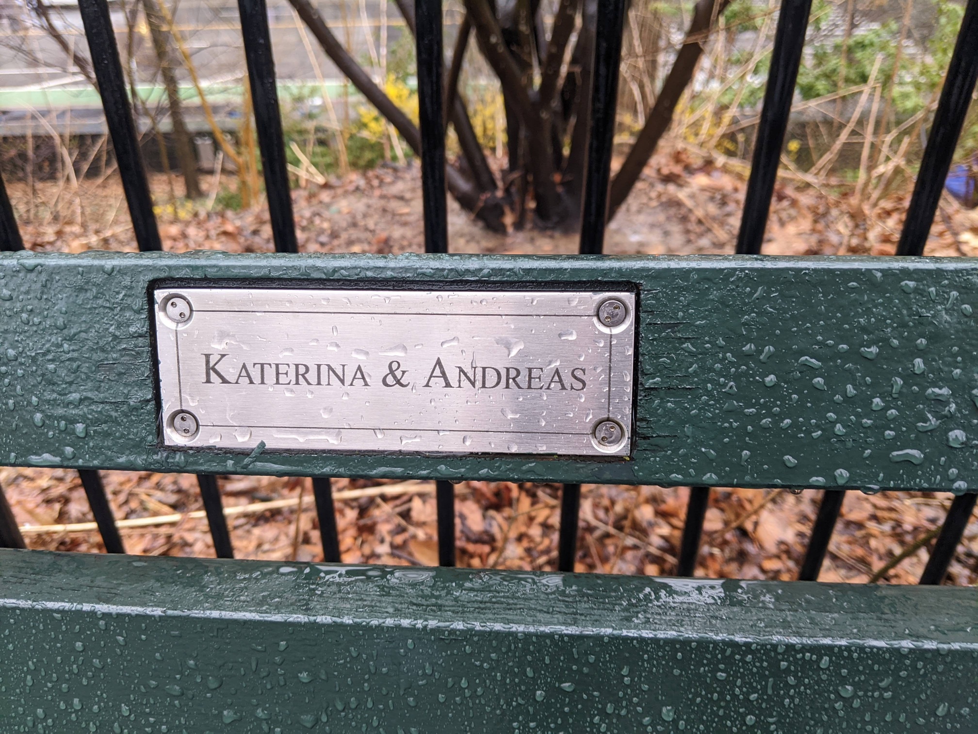 I saw this bench in Central Park