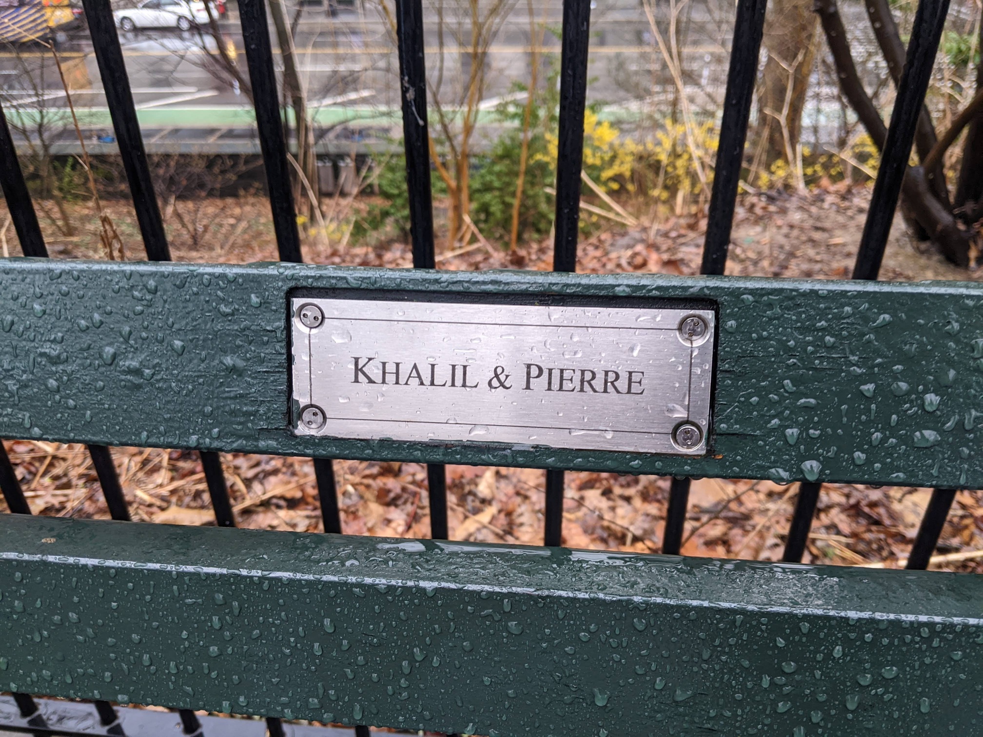 I saw this bench in Central Park