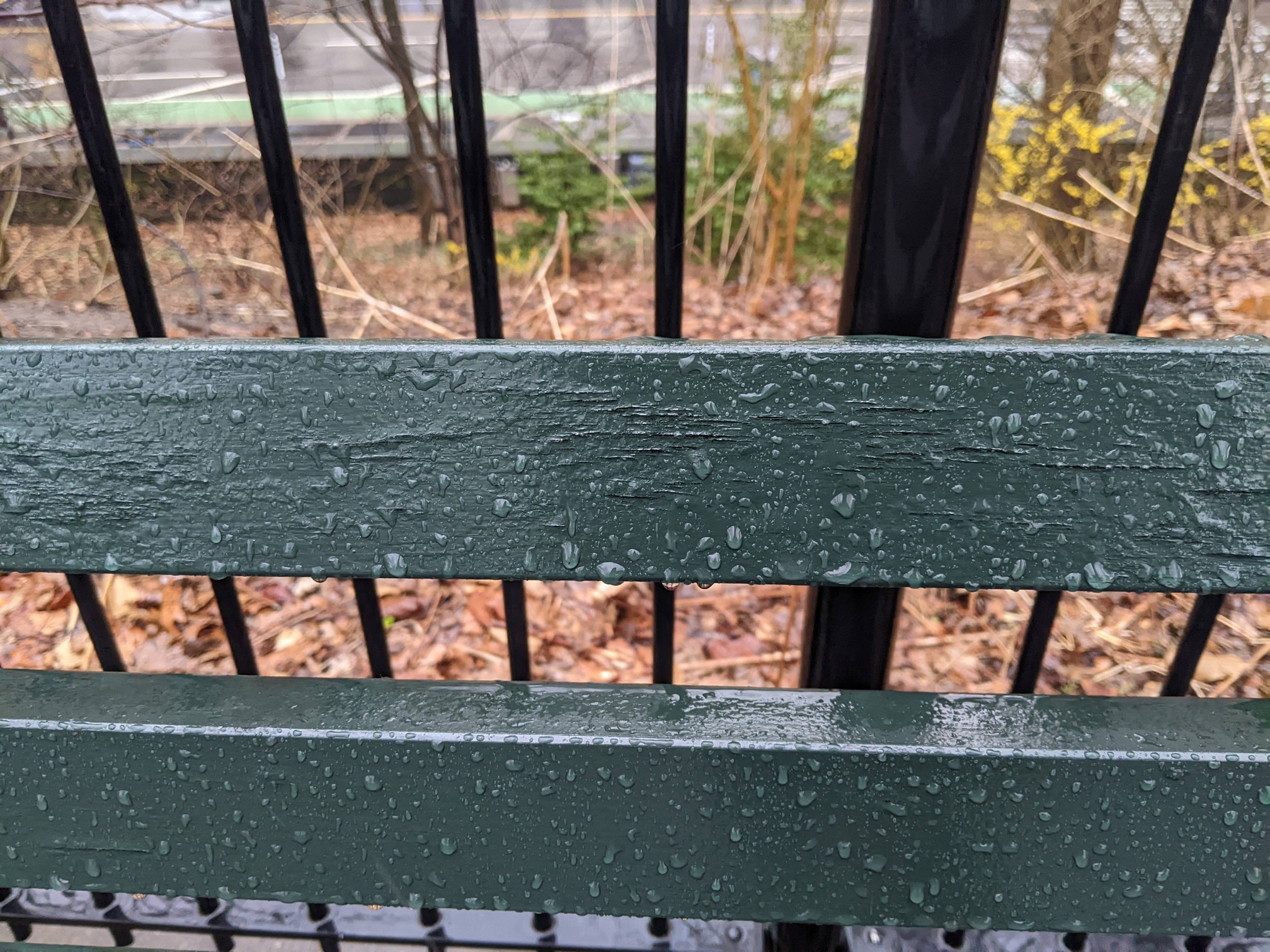 I saw this bench in Central Park