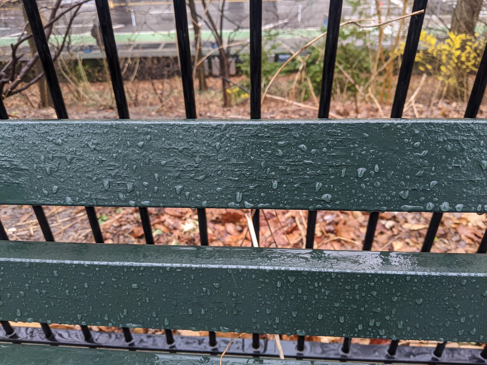 I saw this bench in Central Park