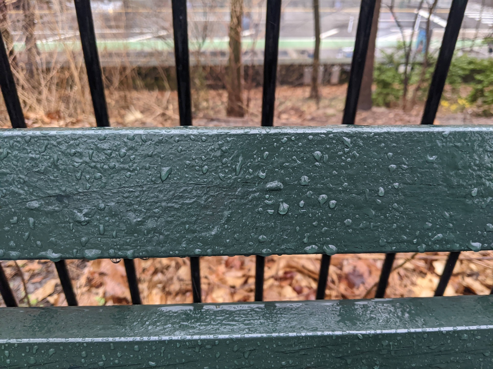 I saw this bench in Central Park