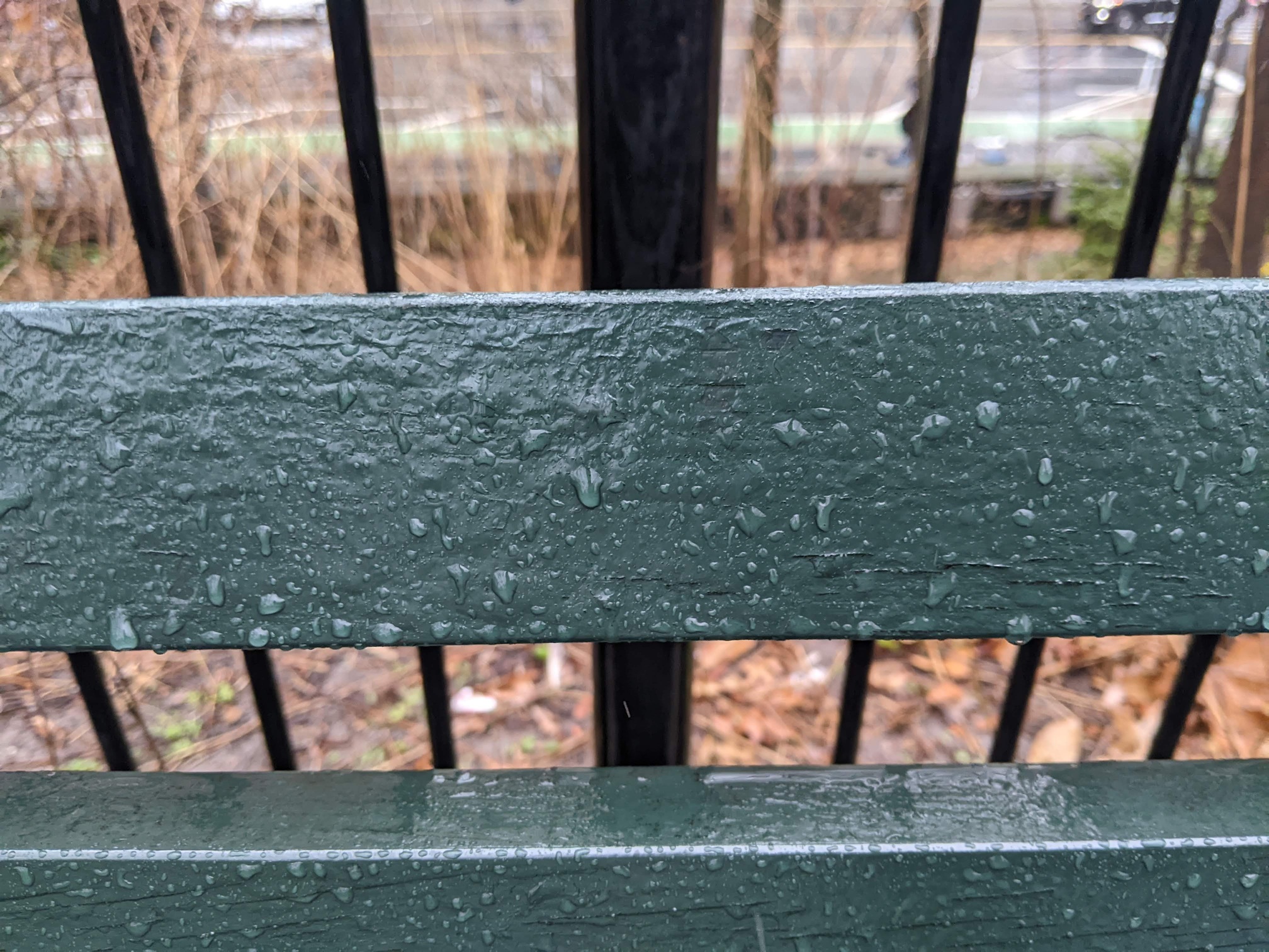 I saw this bench in Central Park