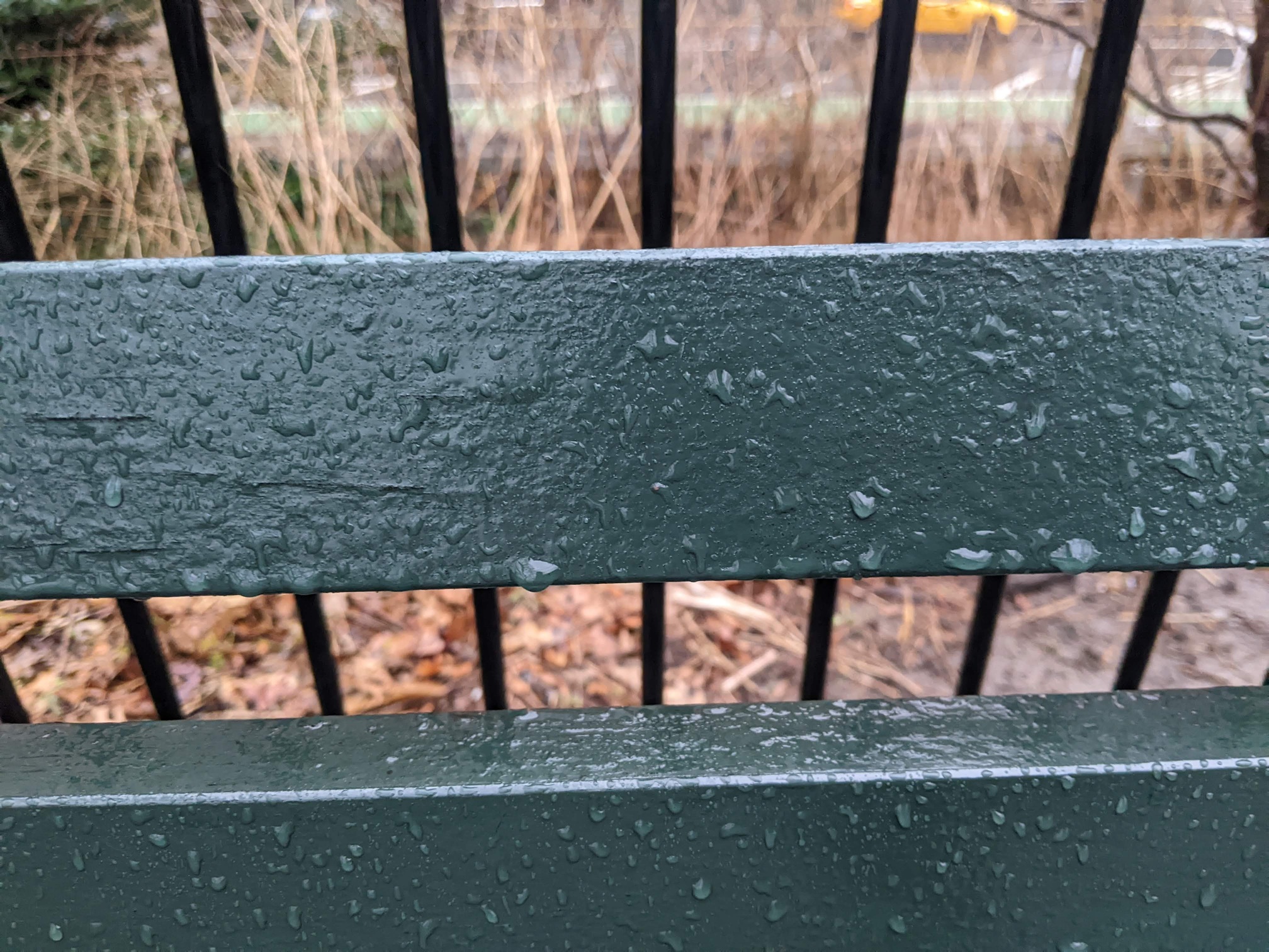 I saw this bench in Central Park