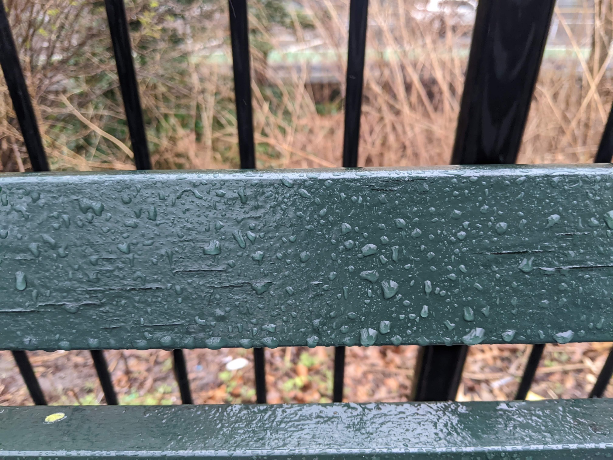 I saw this bench in Central Park