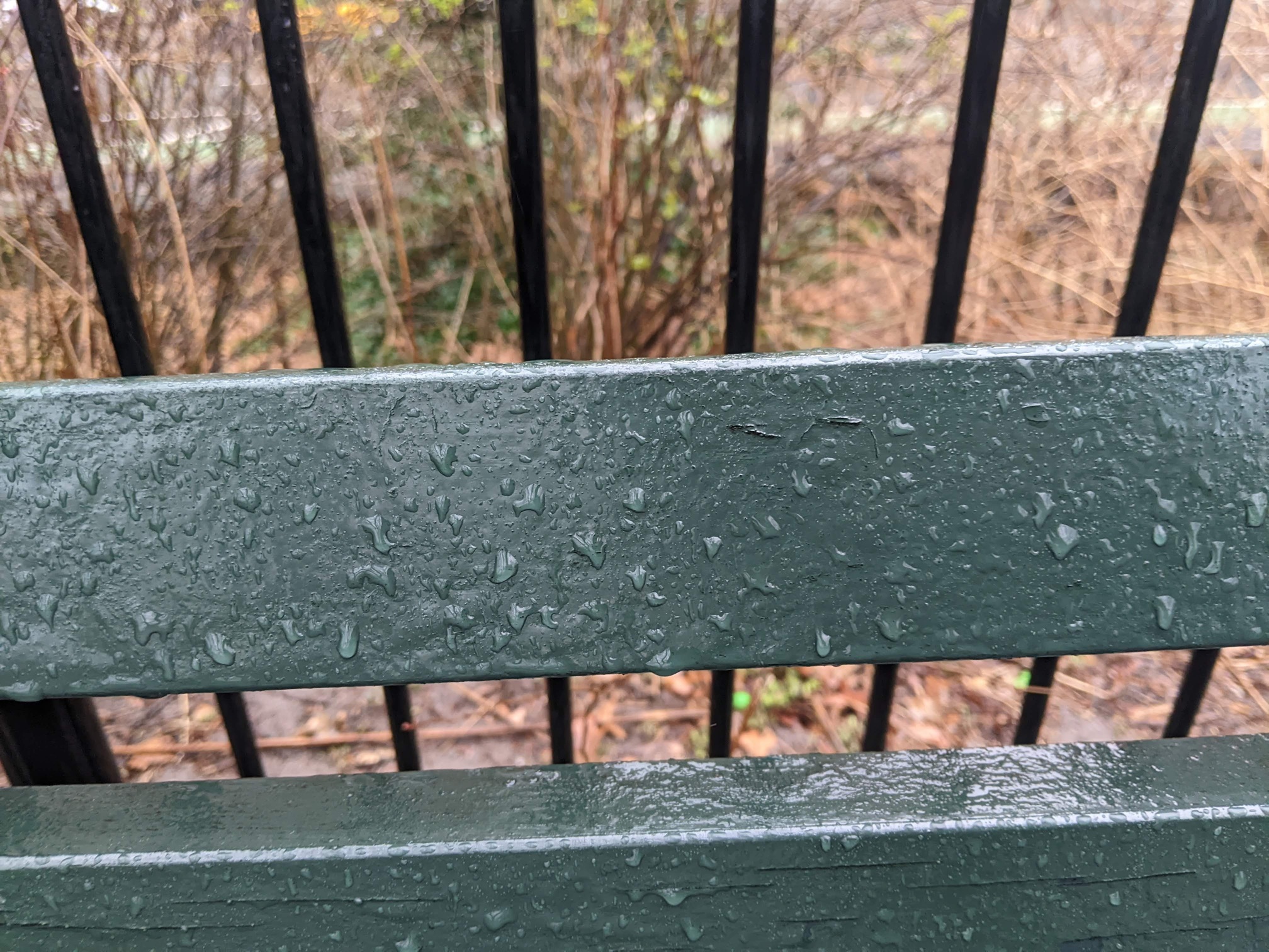 I saw this bench in Central Park