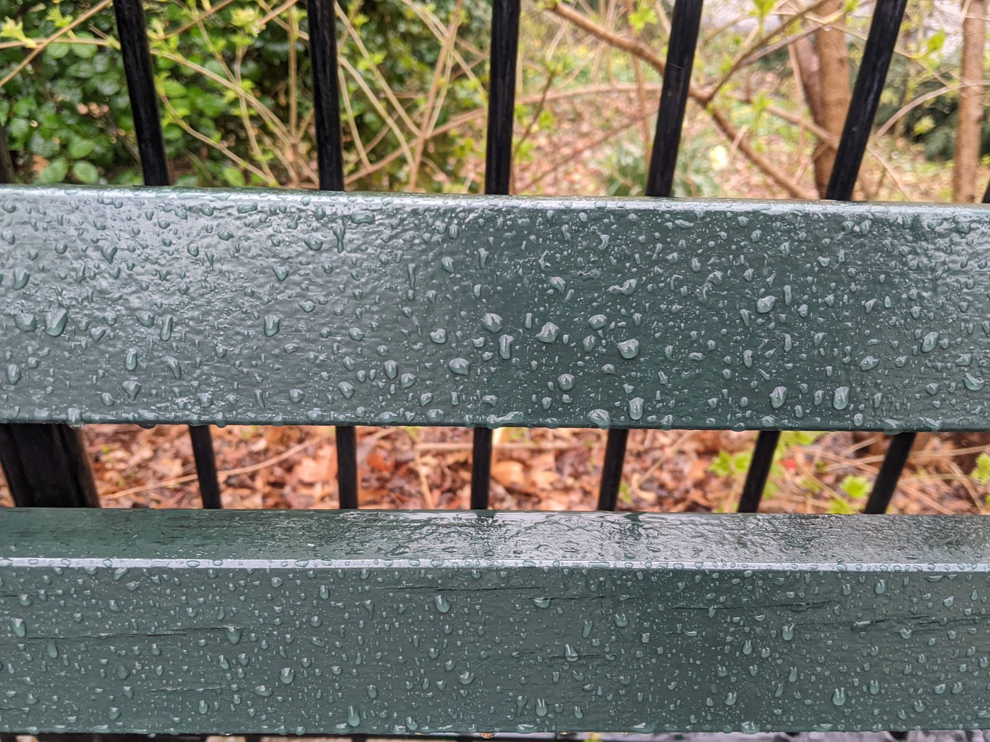 I saw this bench in Central Park