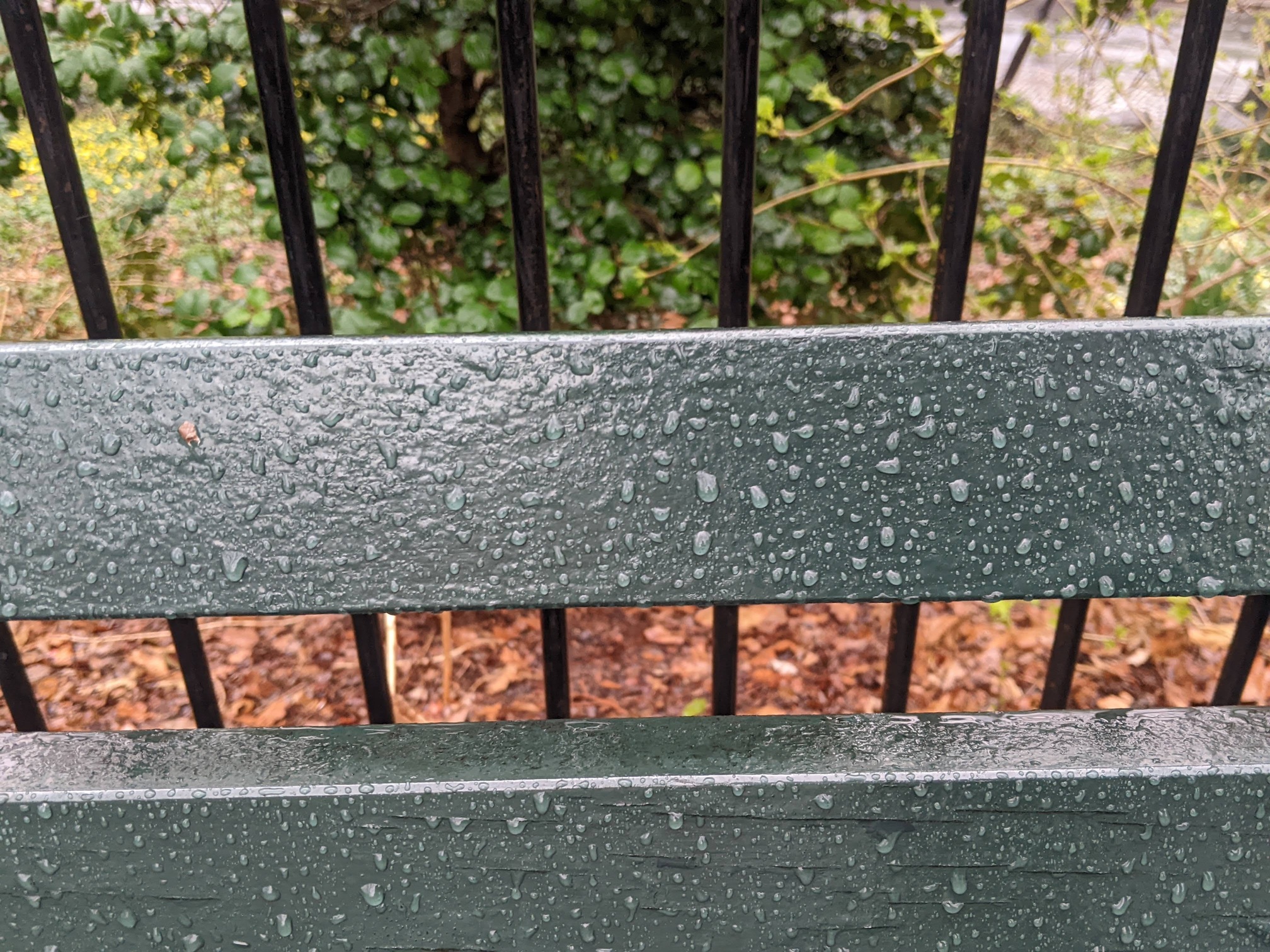 I saw this bench in Central Park