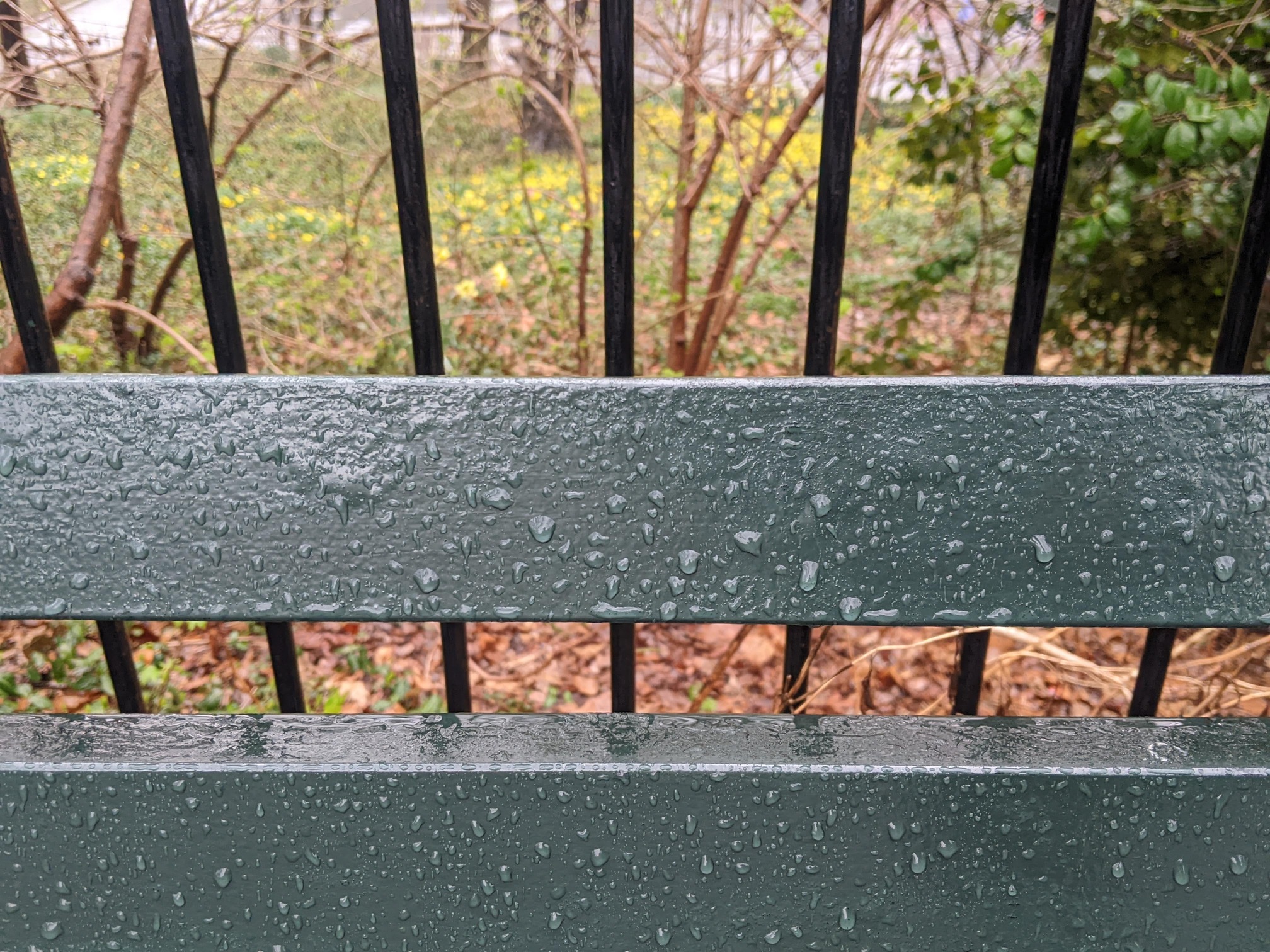 I saw this bench in Central Park