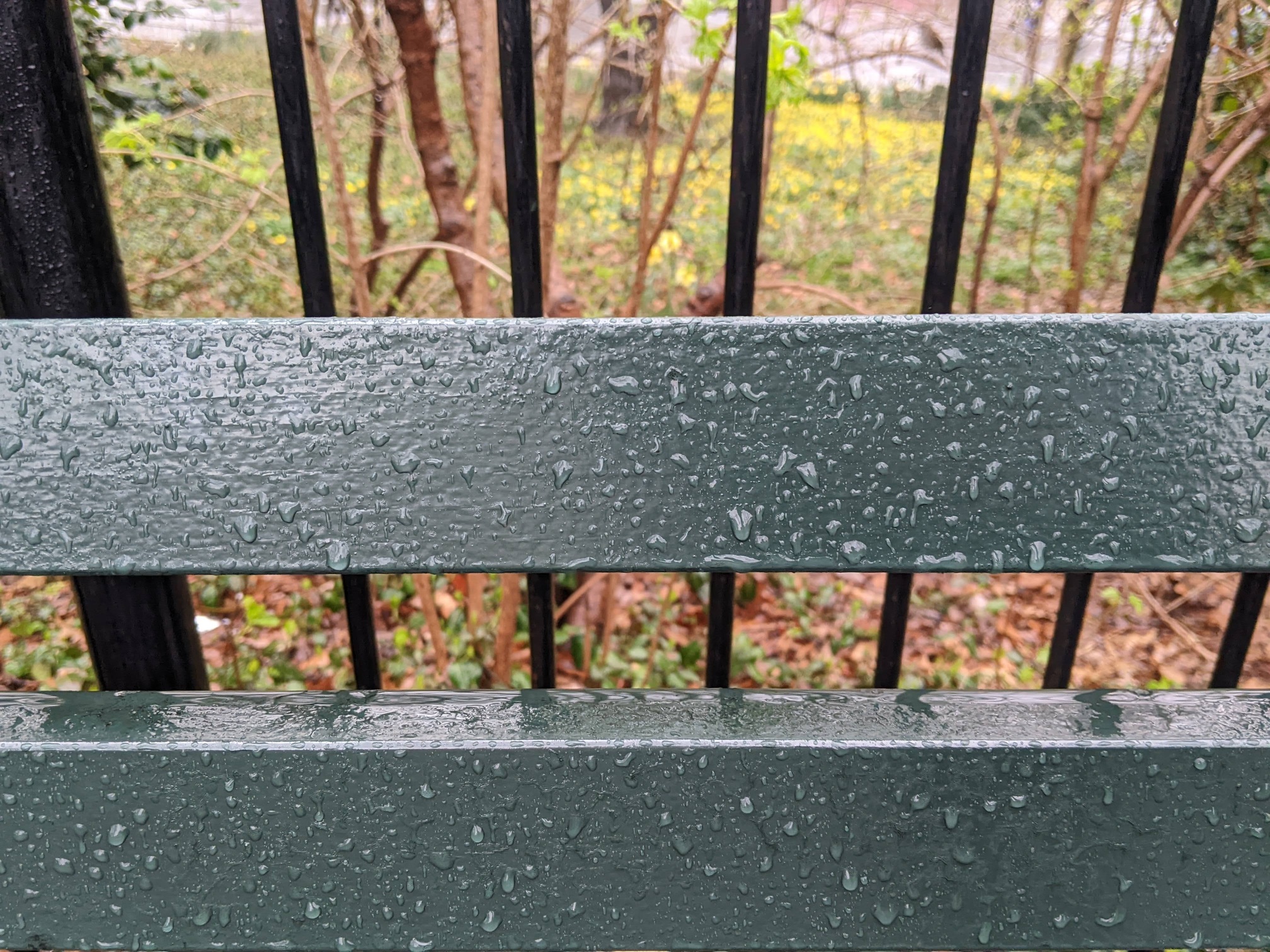 I saw this bench in Central Park