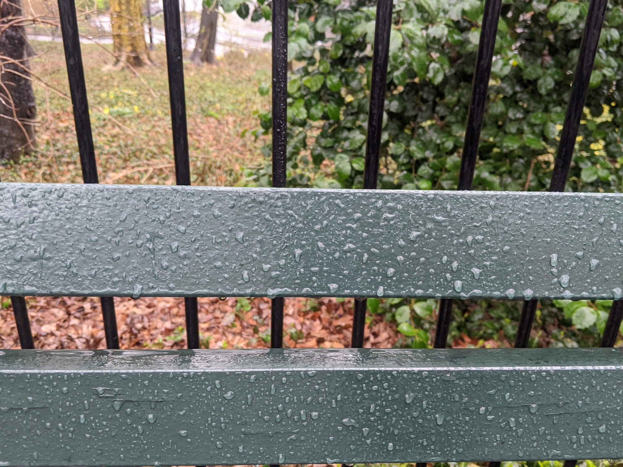 I saw this bench in Central Park