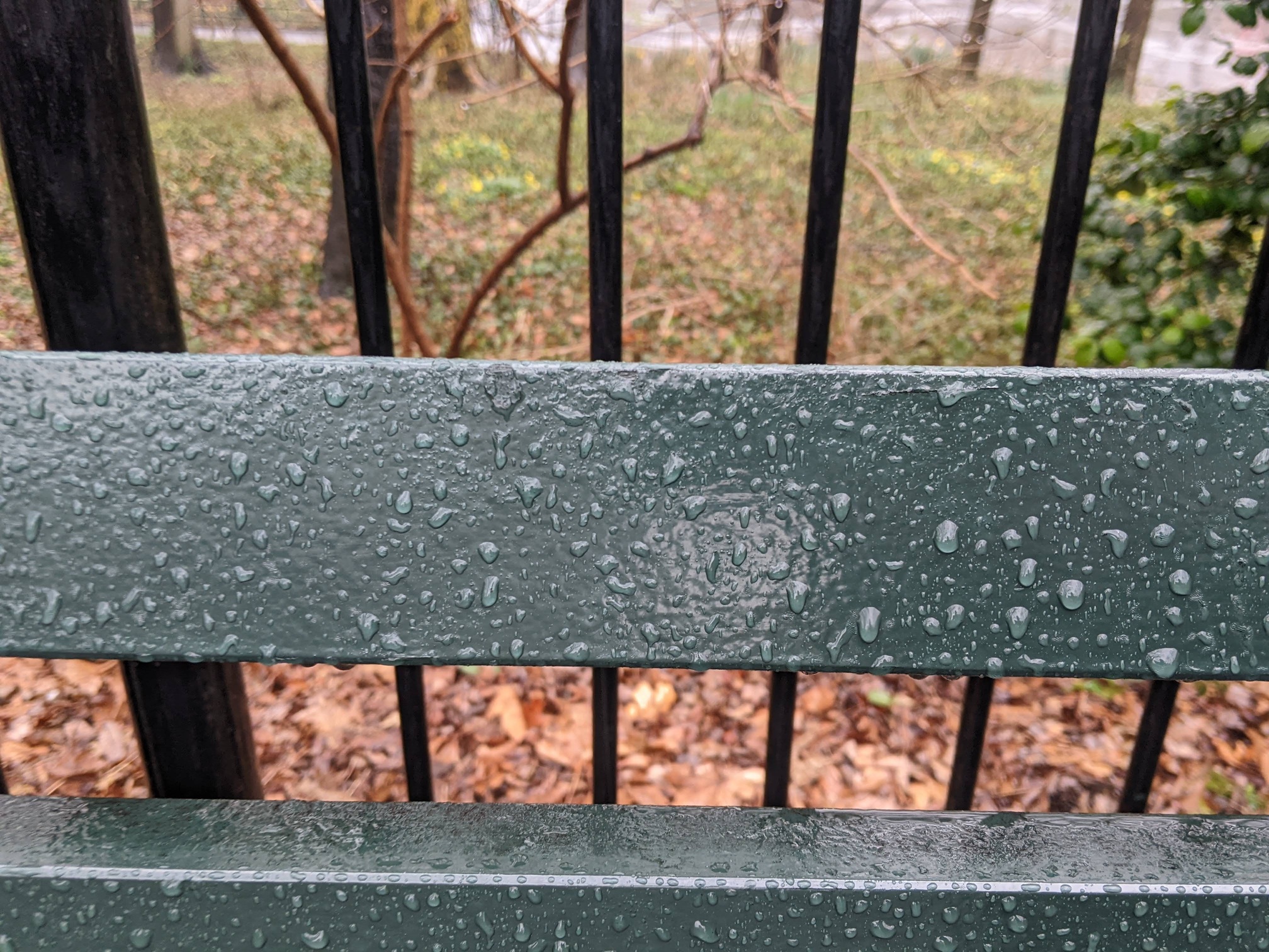 I saw this bench in Central Park