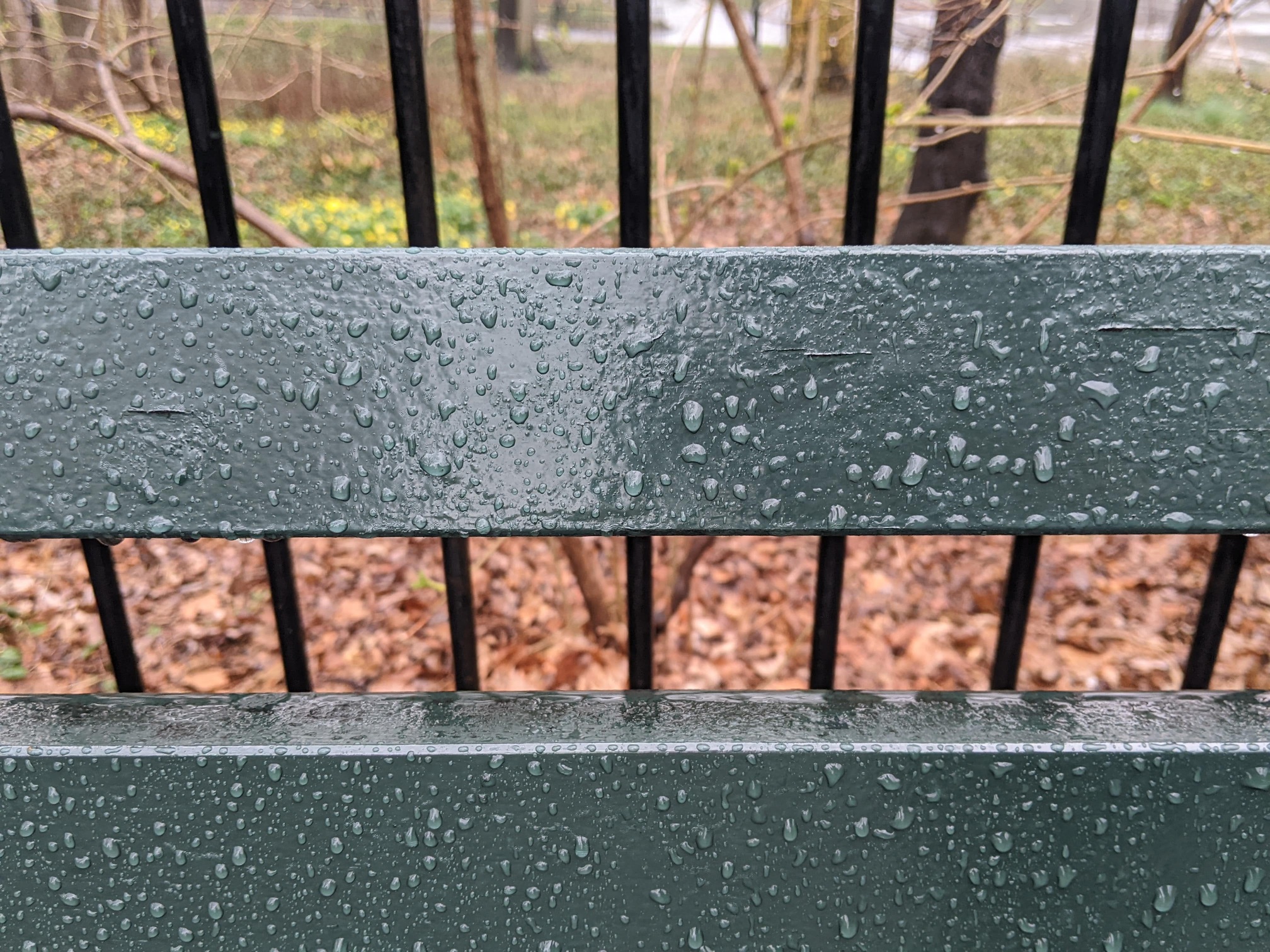 I saw this bench in Central Park