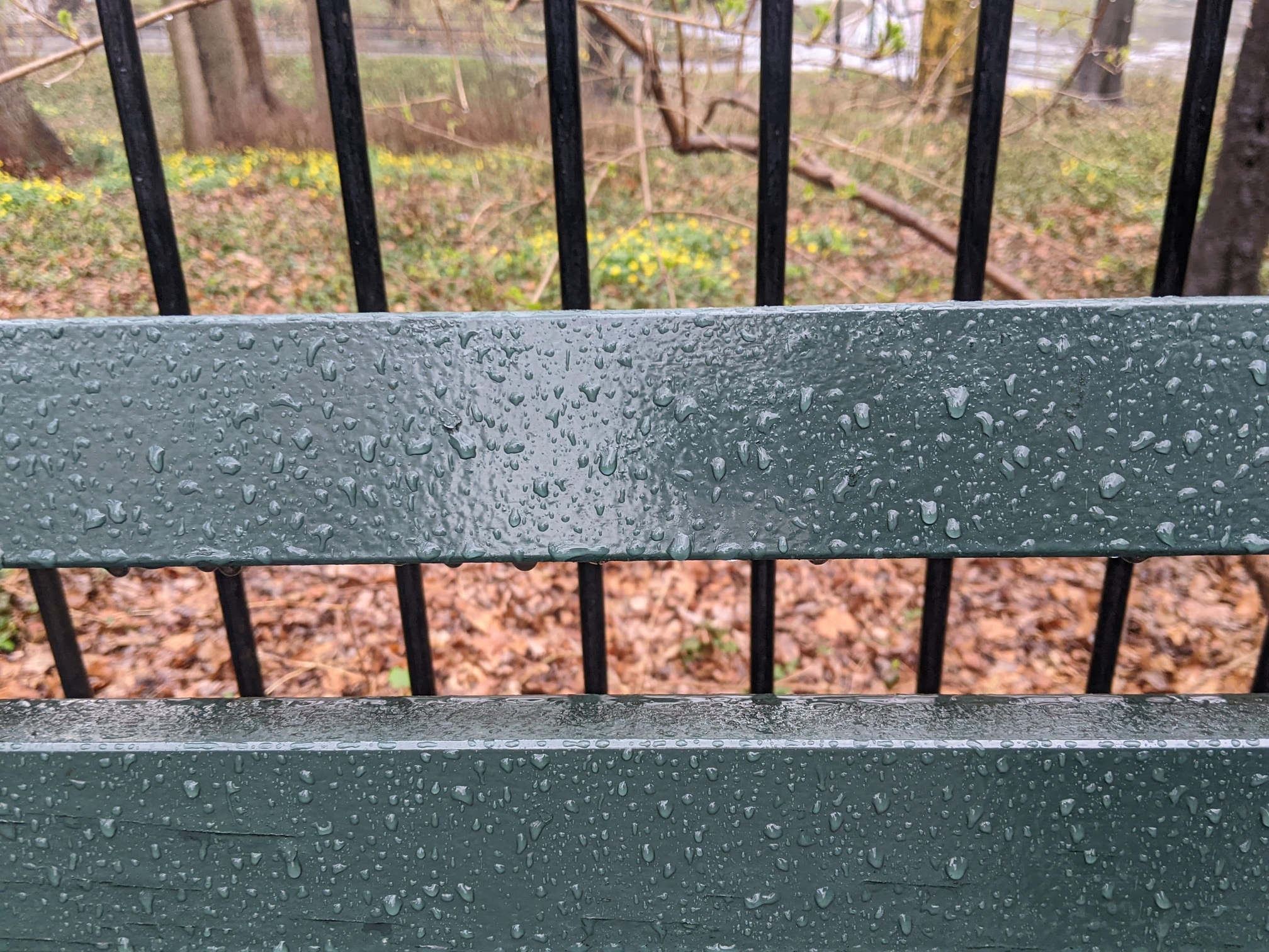 I saw this bench in Central Park