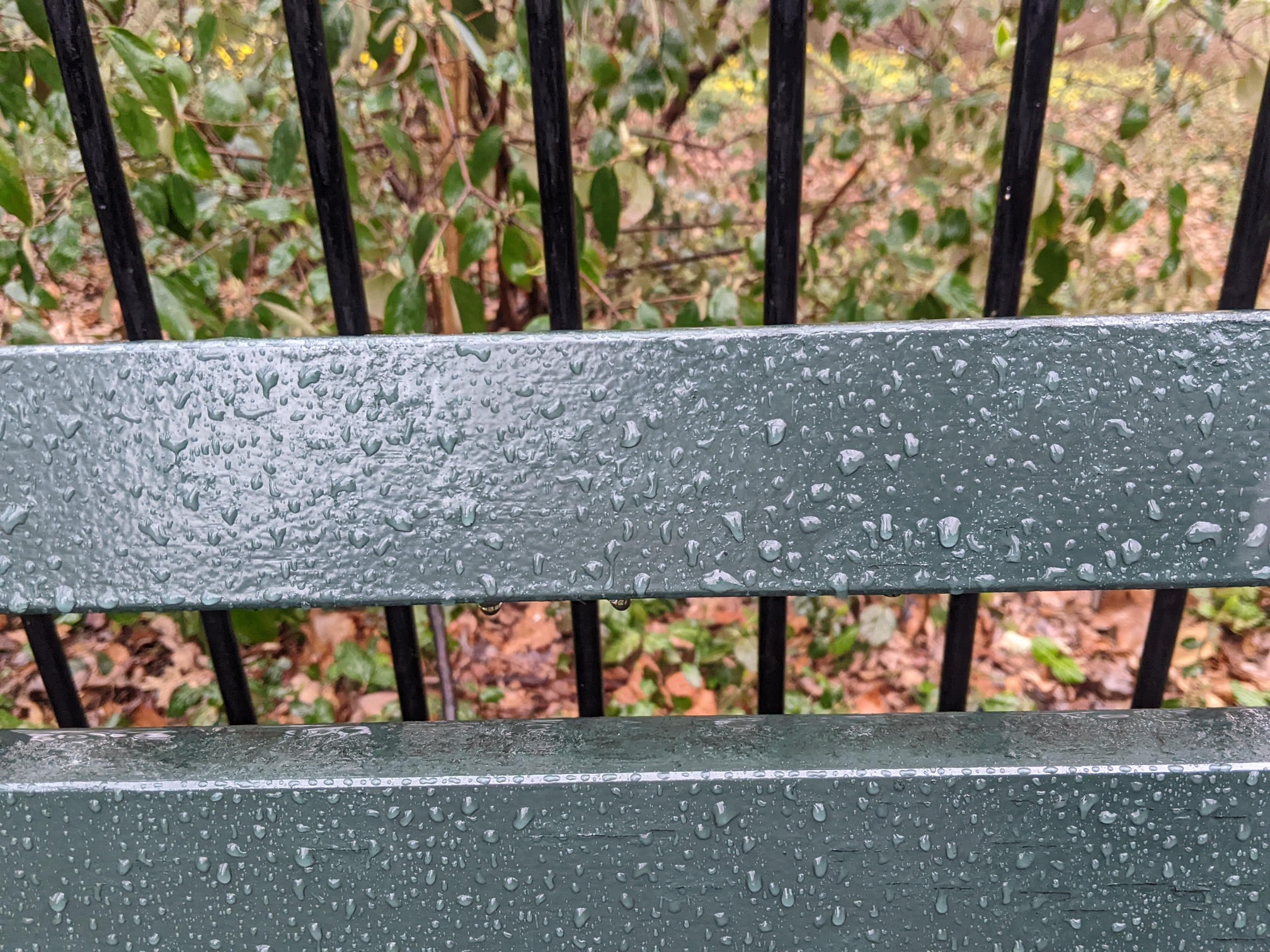 I saw this bench in Central Park