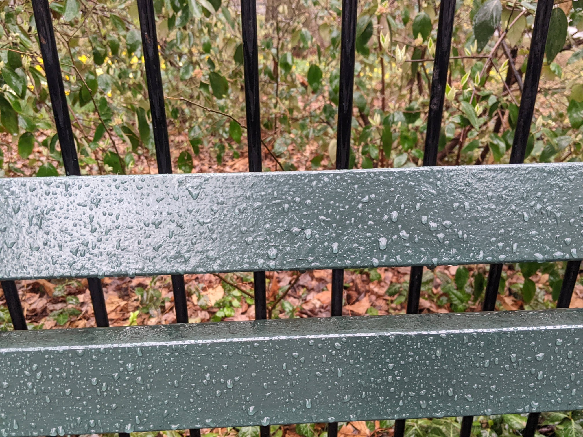 I saw this bench in Central Park