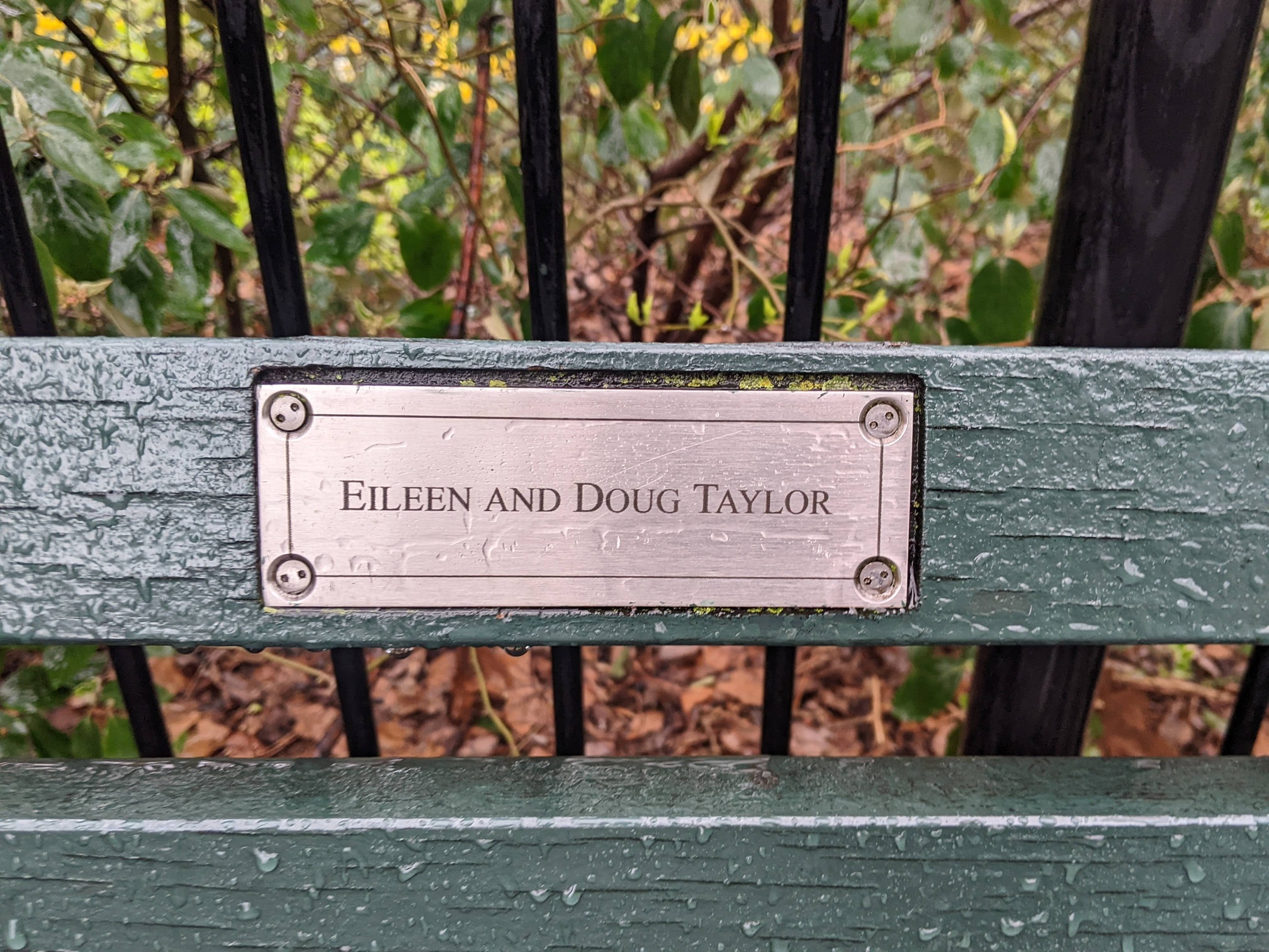 I saw this bench in Central Park