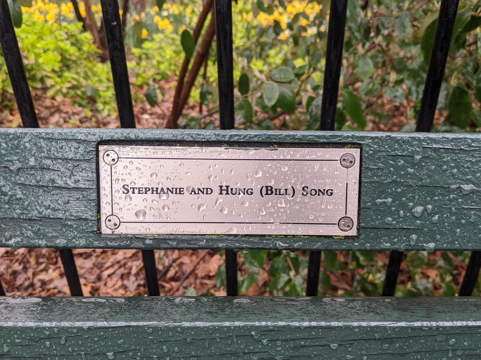 I saw this bench in Central Park