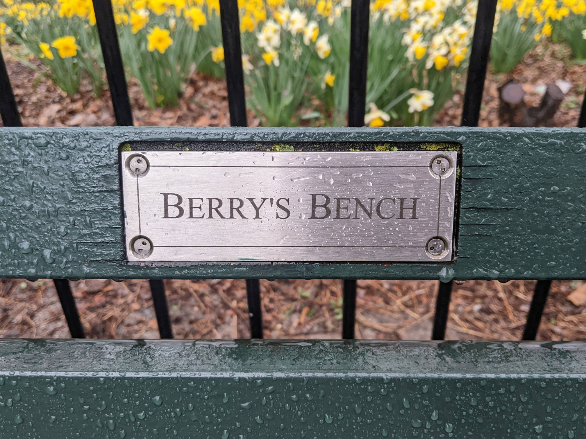 I saw this bench in Central Park