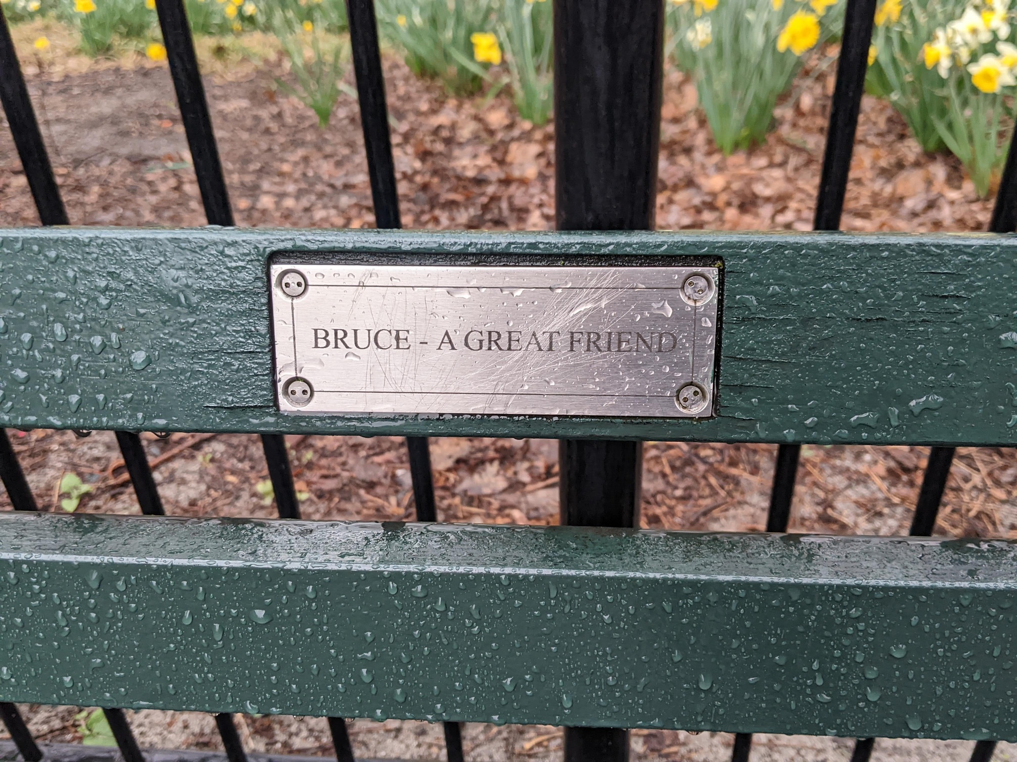 I saw this bench in Central Park