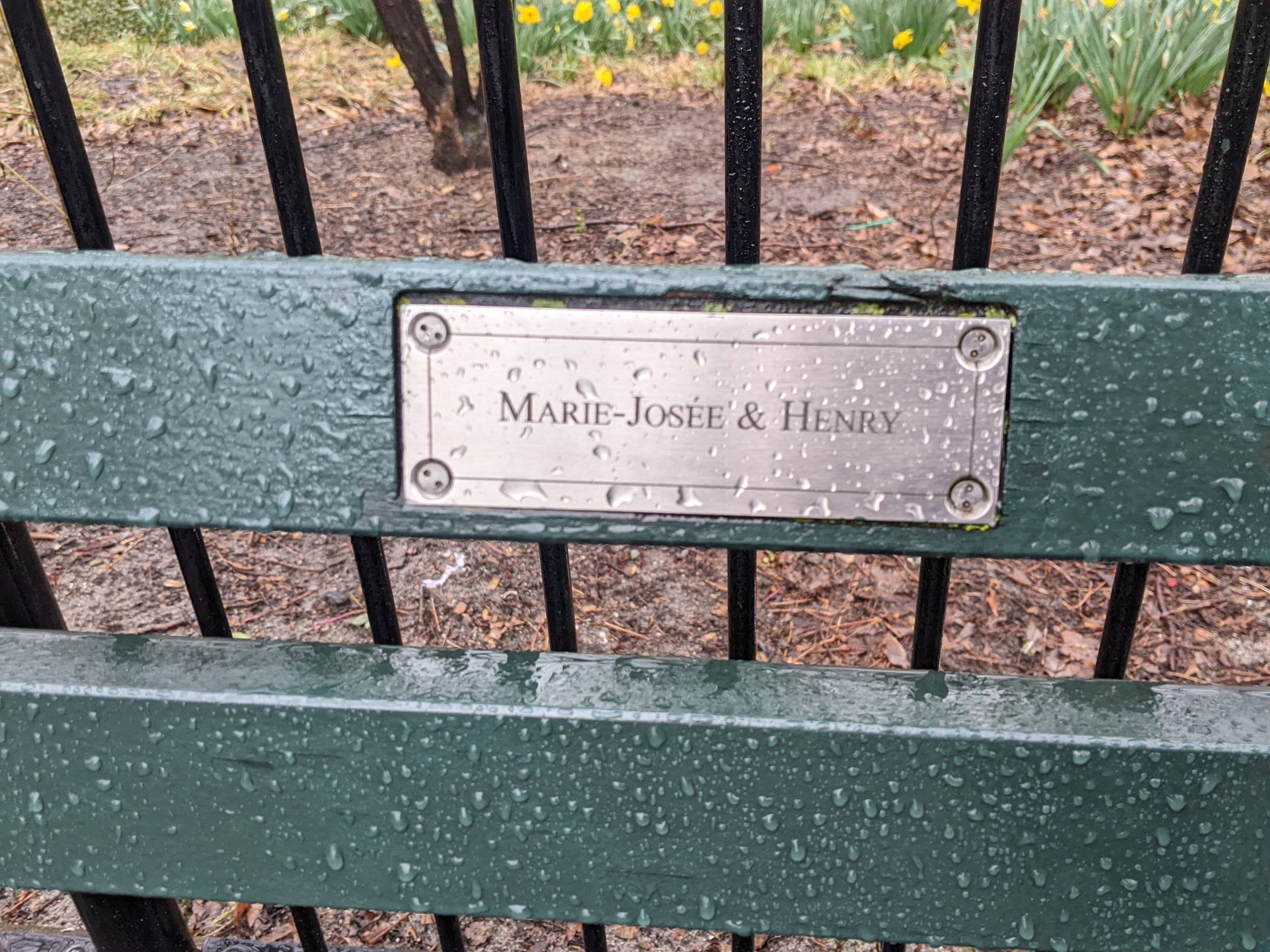 I saw this bench in Central Park