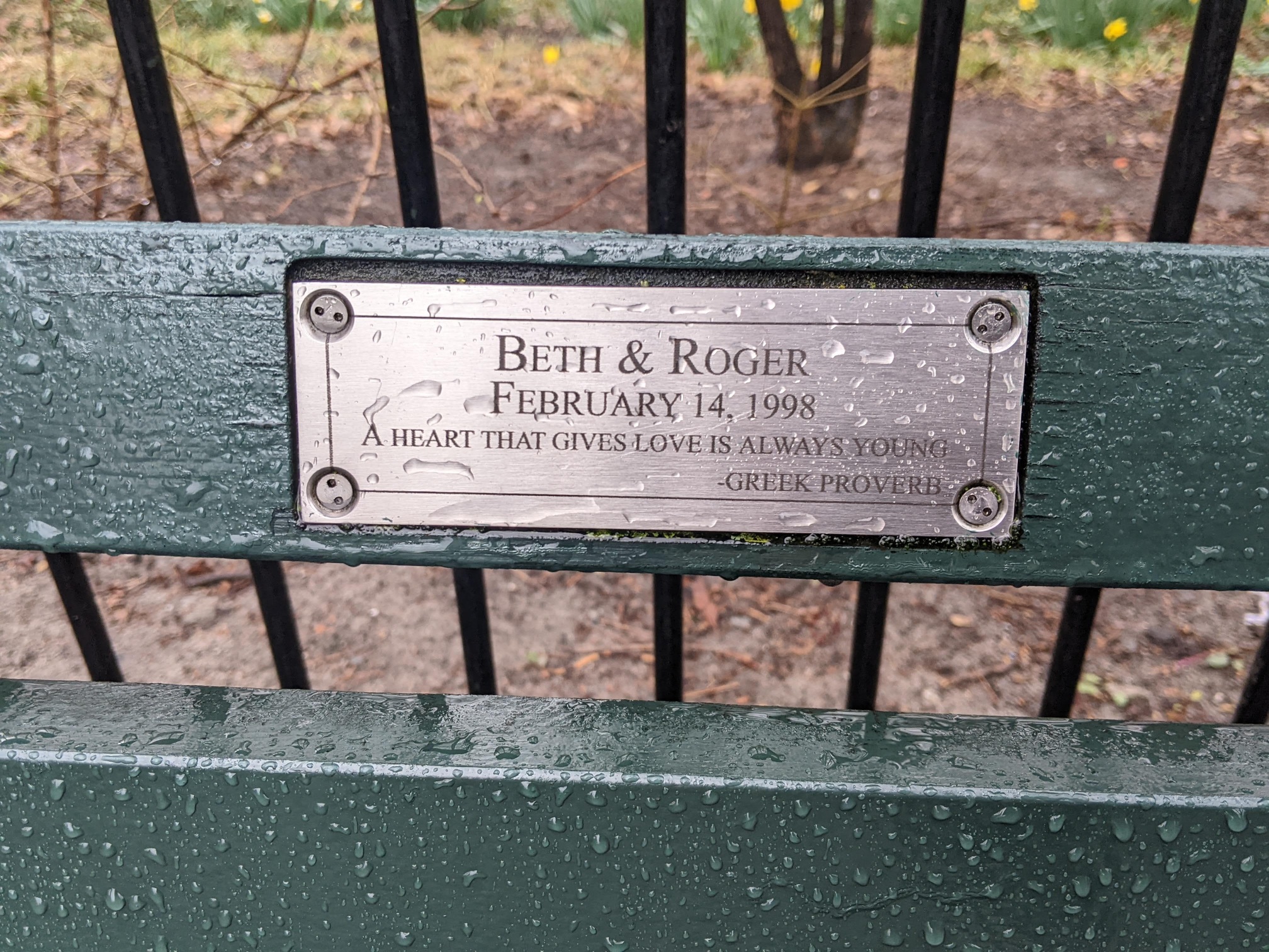 I saw this bench in Central Park