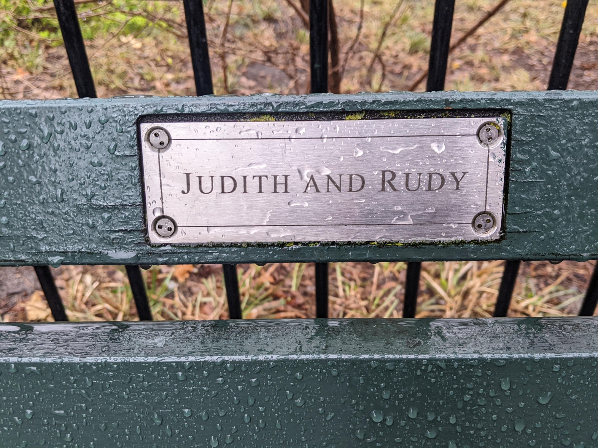 I saw this bench in Central Park