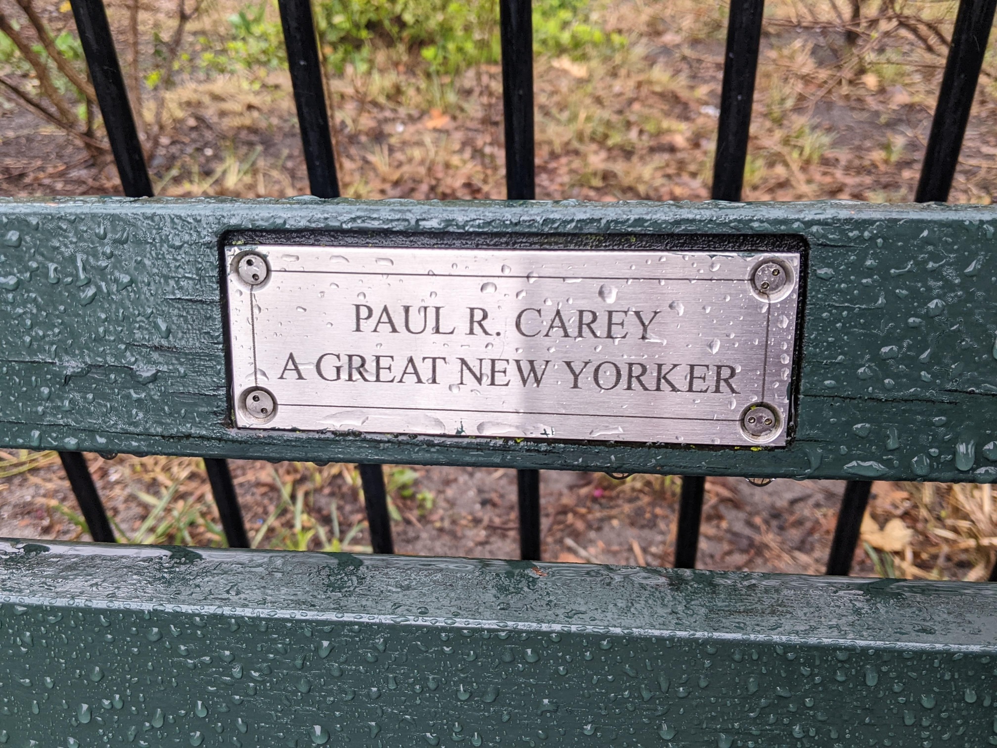 I saw this bench in Central Park