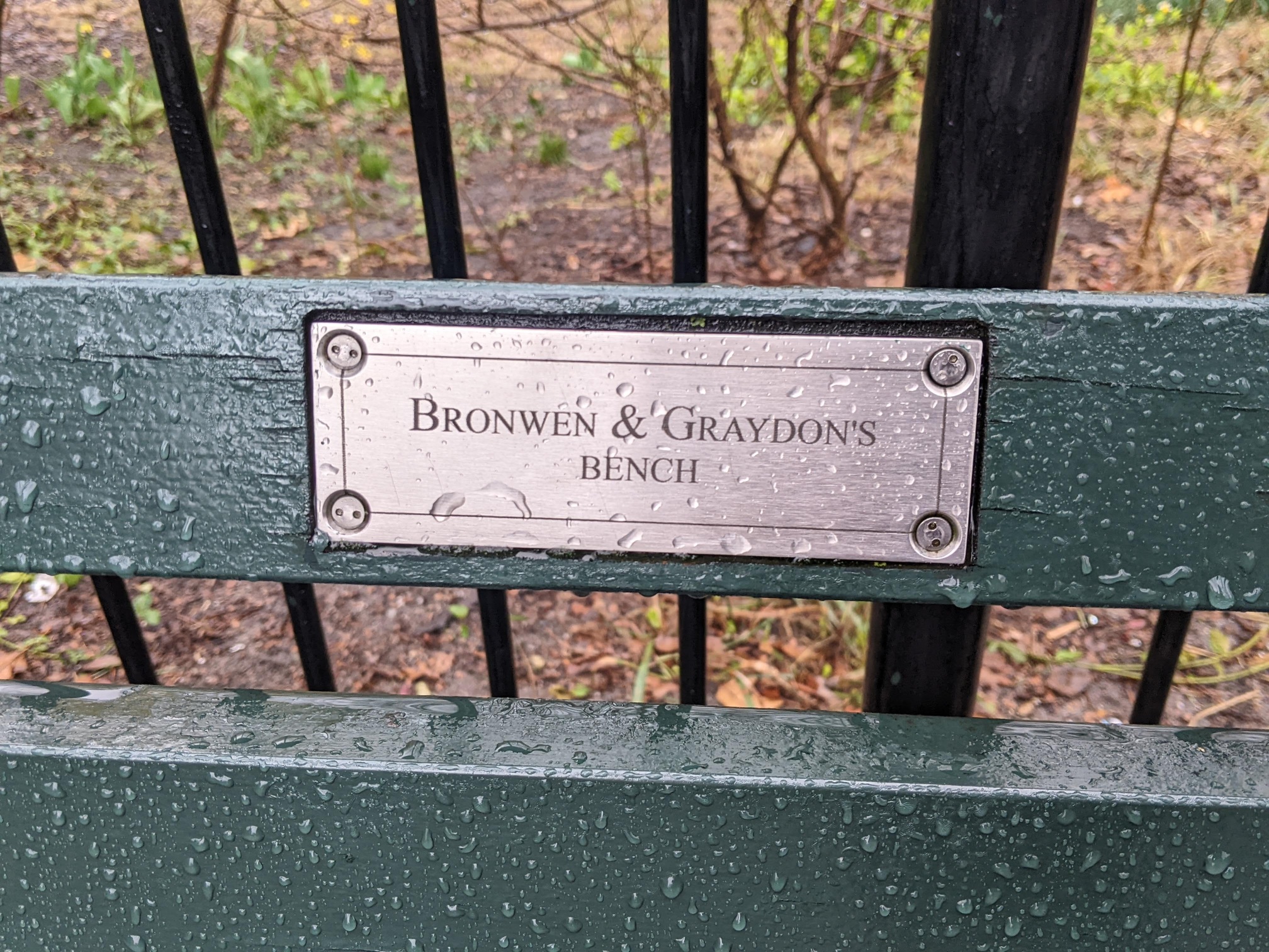 I saw this bench in Central Park