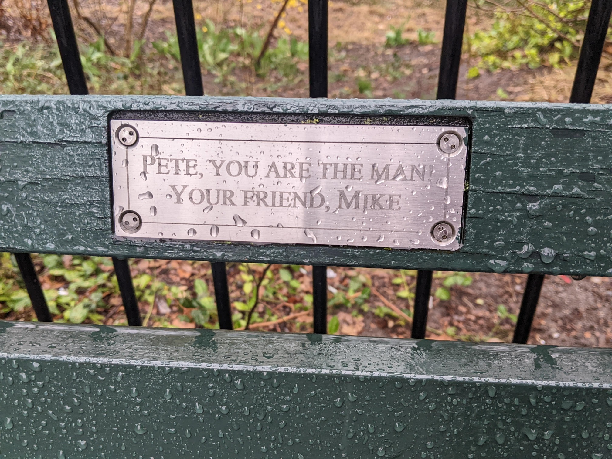 I saw this bench in Central Park