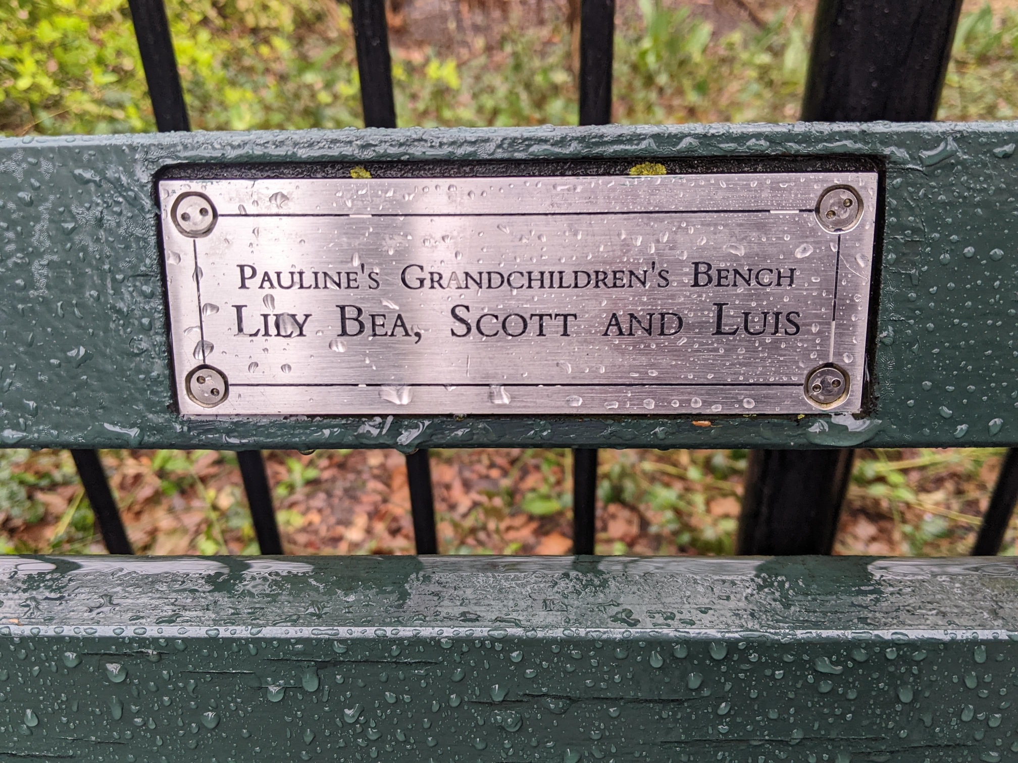 I saw this bench in Central Park