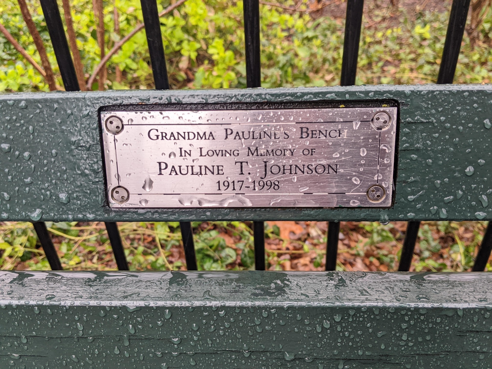 I saw this bench in Central Park