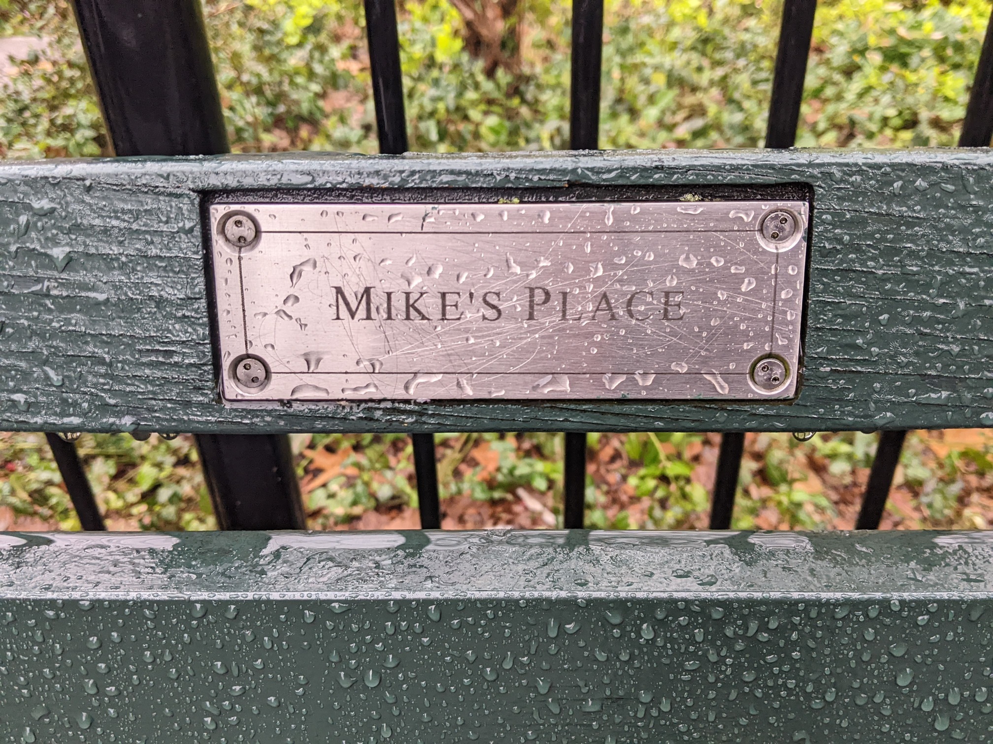 I saw this bench in Central Park