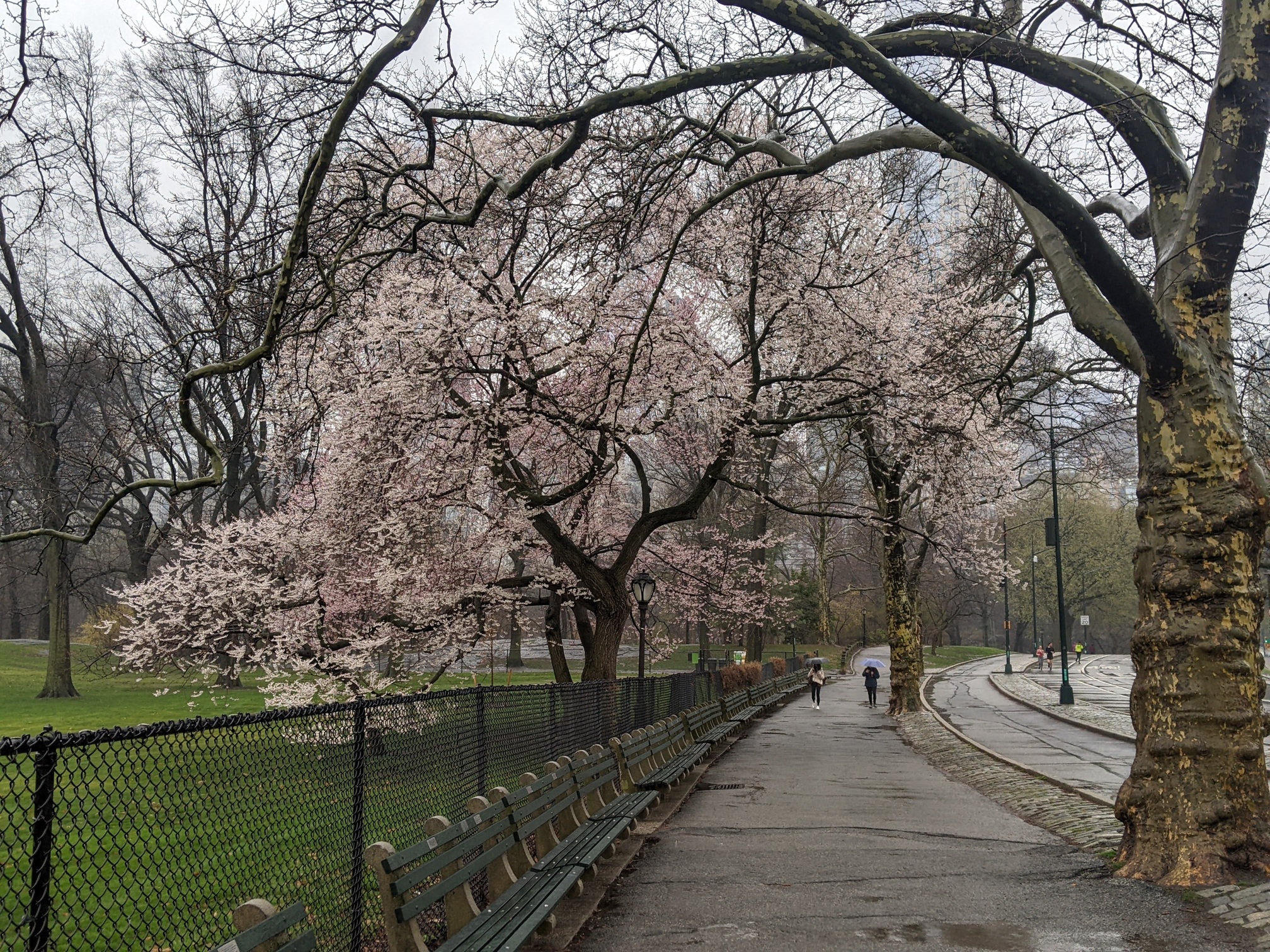 I saw this bench in Central Park