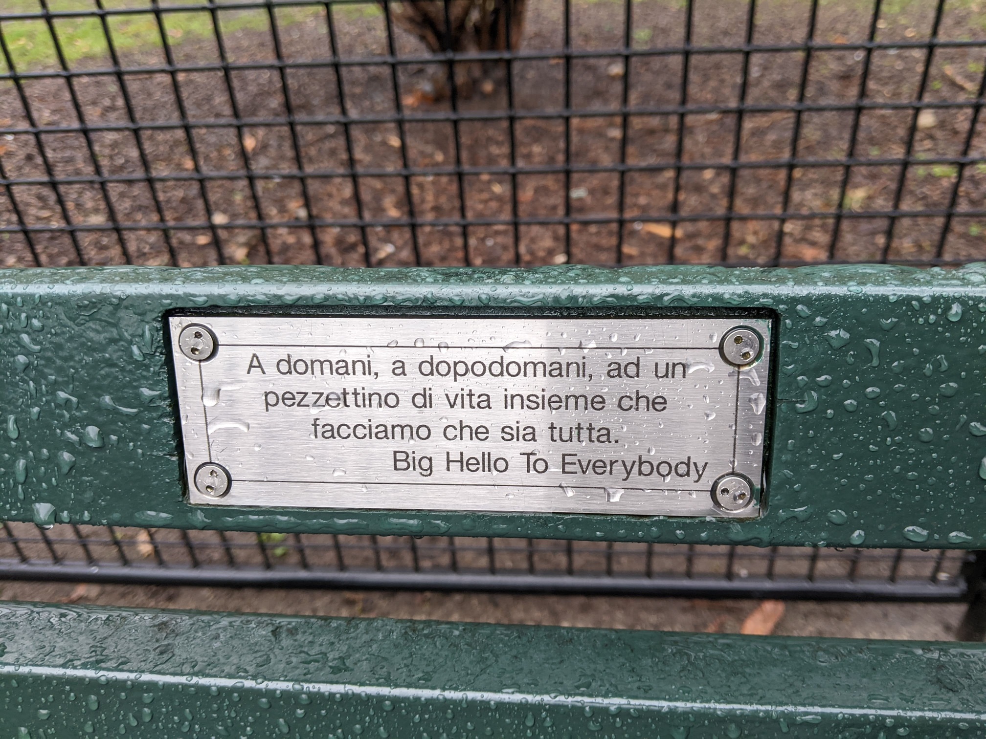 I saw this bench in Central Park