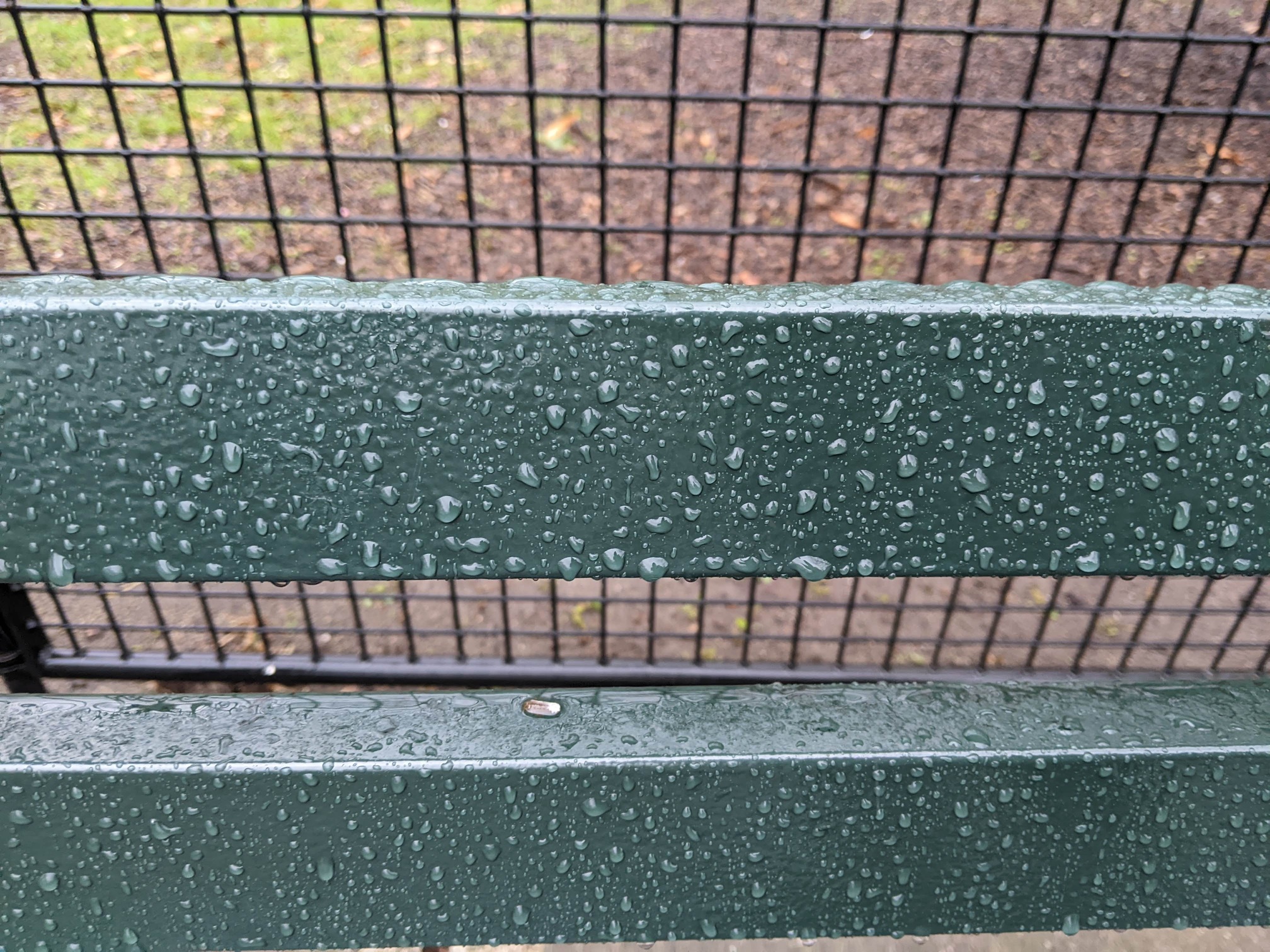 I saw this bench in Central Park