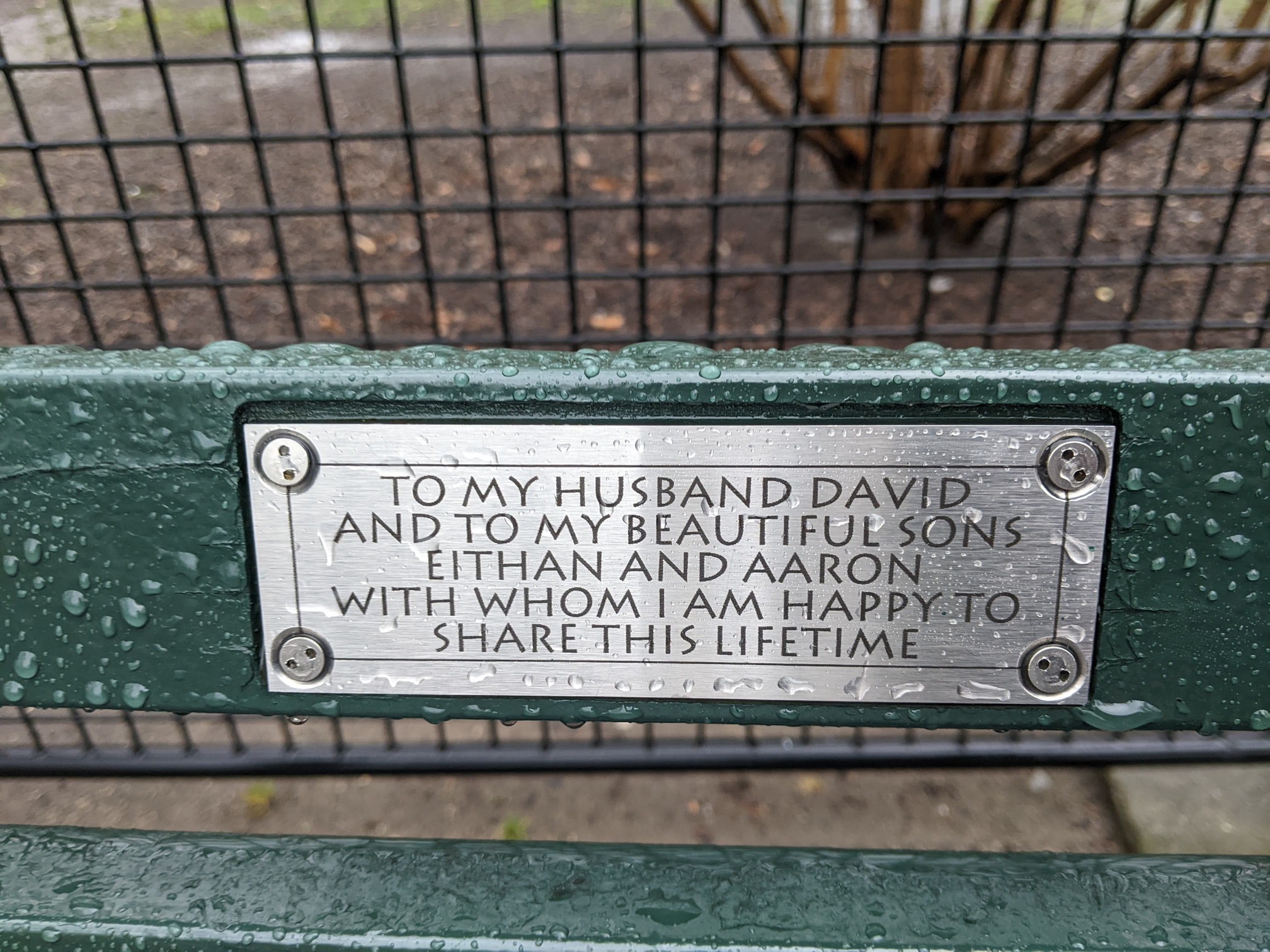 I saw this bench in Central Park