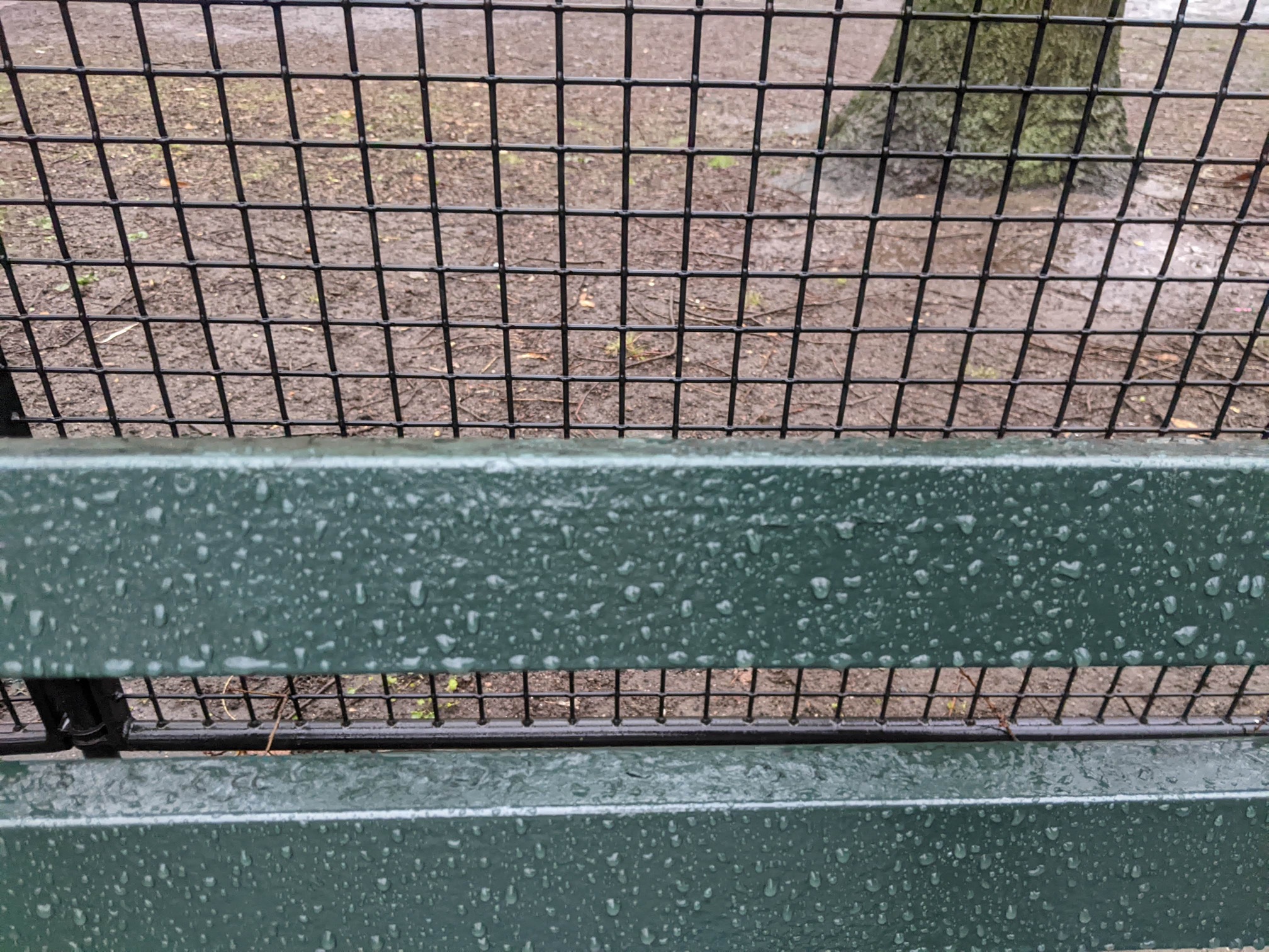 I saw this bench in Central Park