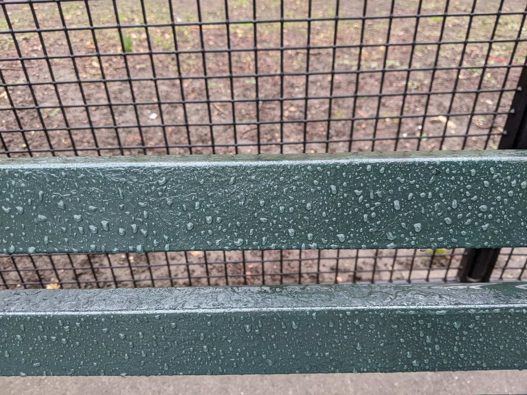 I saw this bench in Central Park