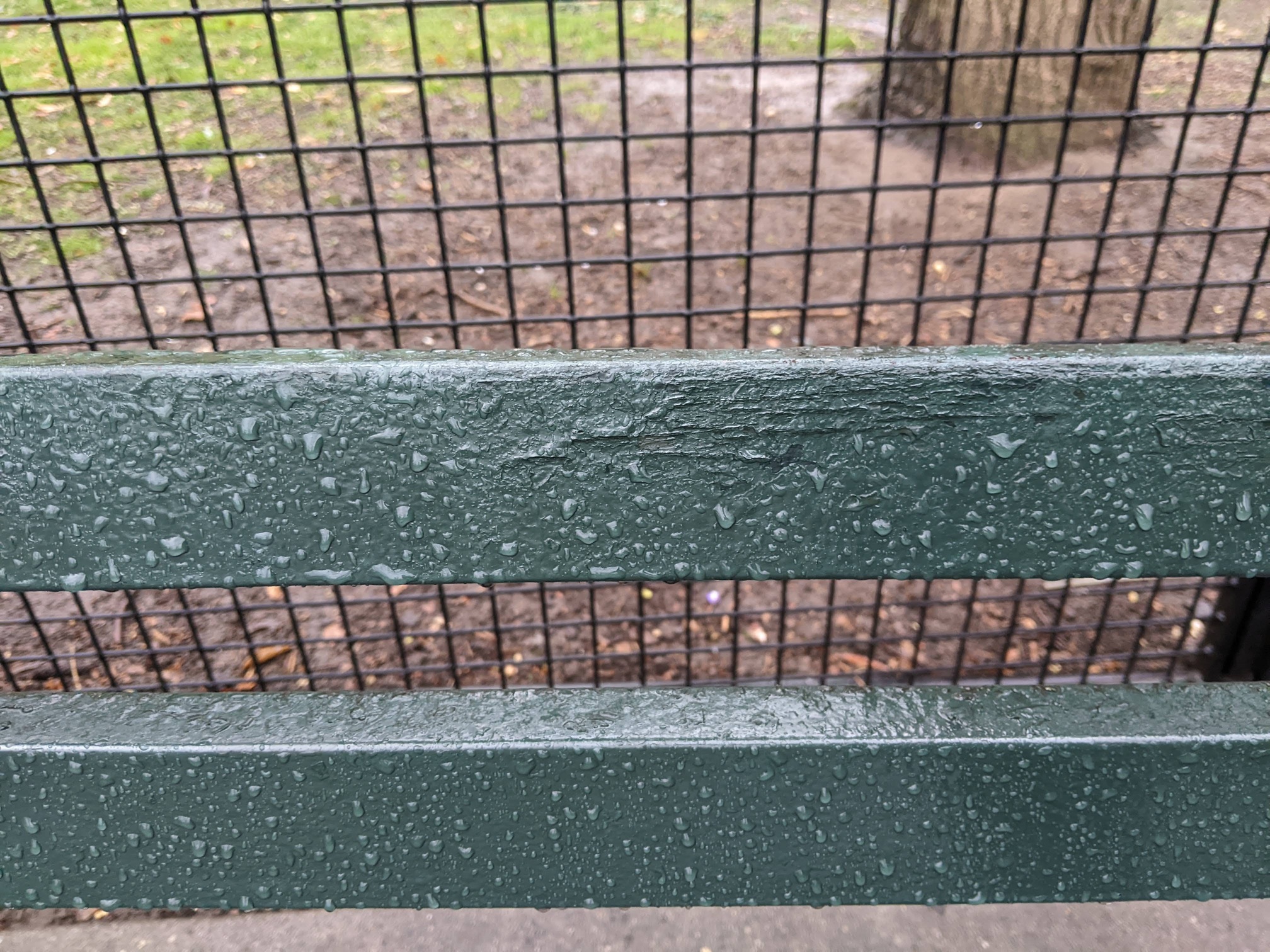 I saw this bench in Central Park